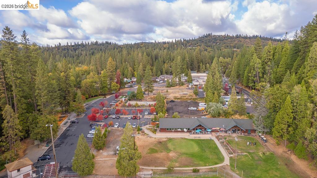 Detail Gallery Image 19 of 20 For 22435 Ponderosa, Twain Harte,  CA 95383-9999 - 4 Beds | 2 Baths