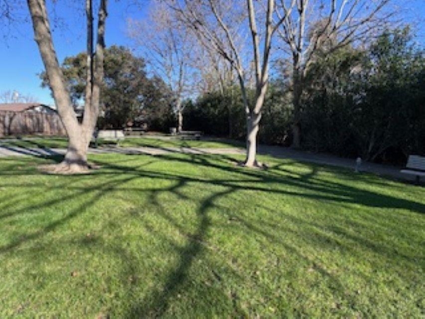 Photo #41: 41119951 Listing: Photo #41