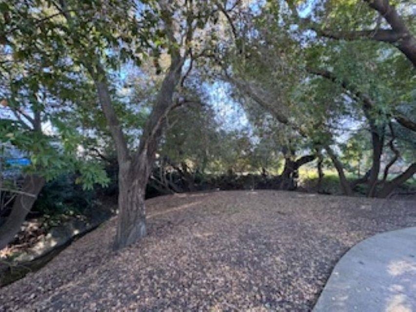 Photo #43: 41119951 Listing: Photo #43