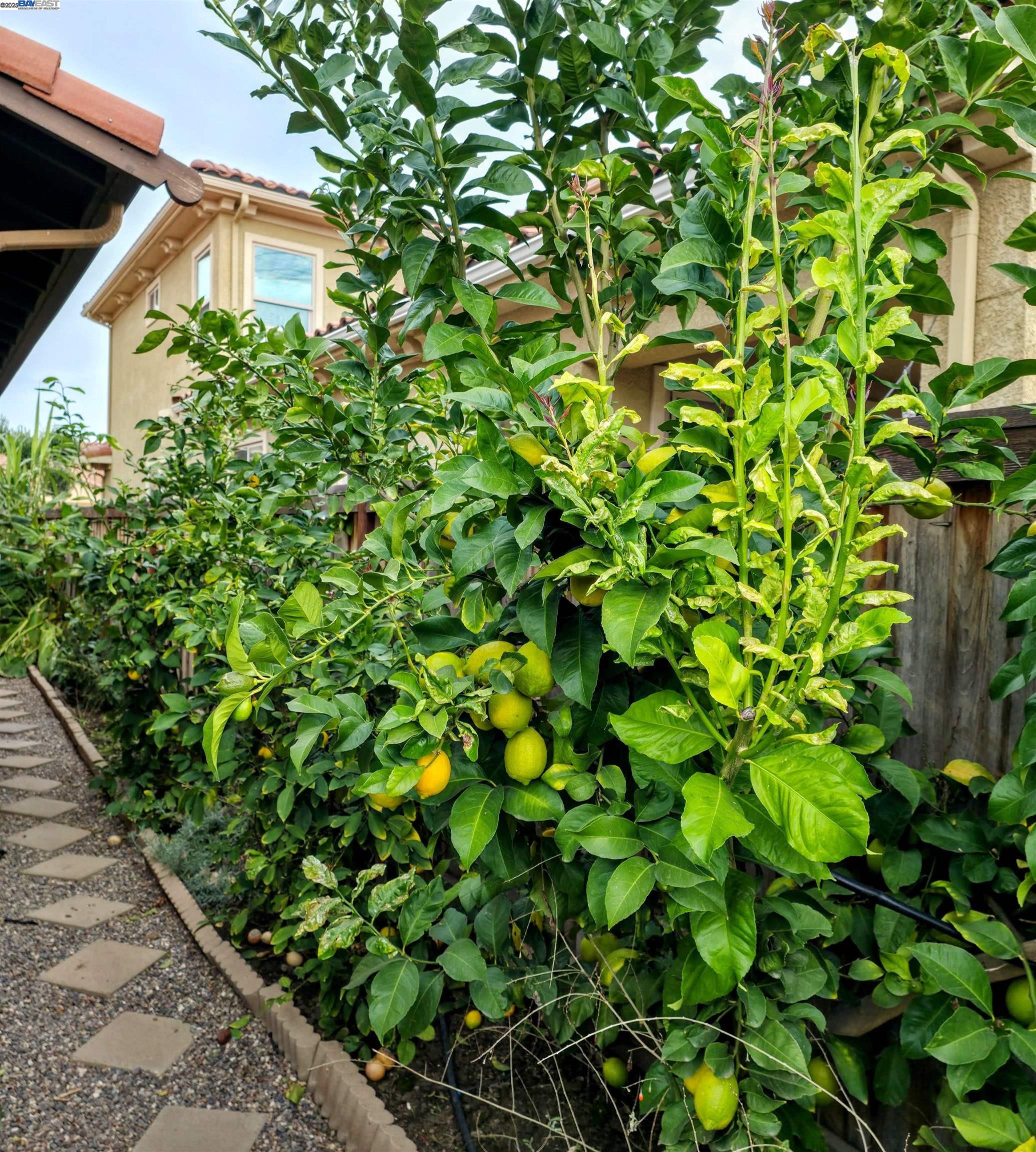 Detail Gallery Image 46 of 51 For 3548 Rapallo Way, Manteca,  CA 95337 - 4 Beds | 3/1 Baths