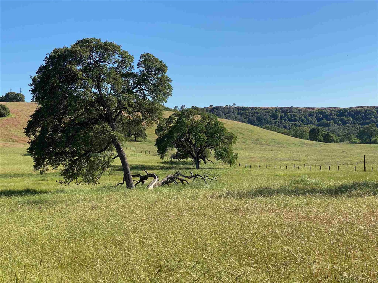 15653 Hwy 108, Jamestown CA 95327 — photo 47