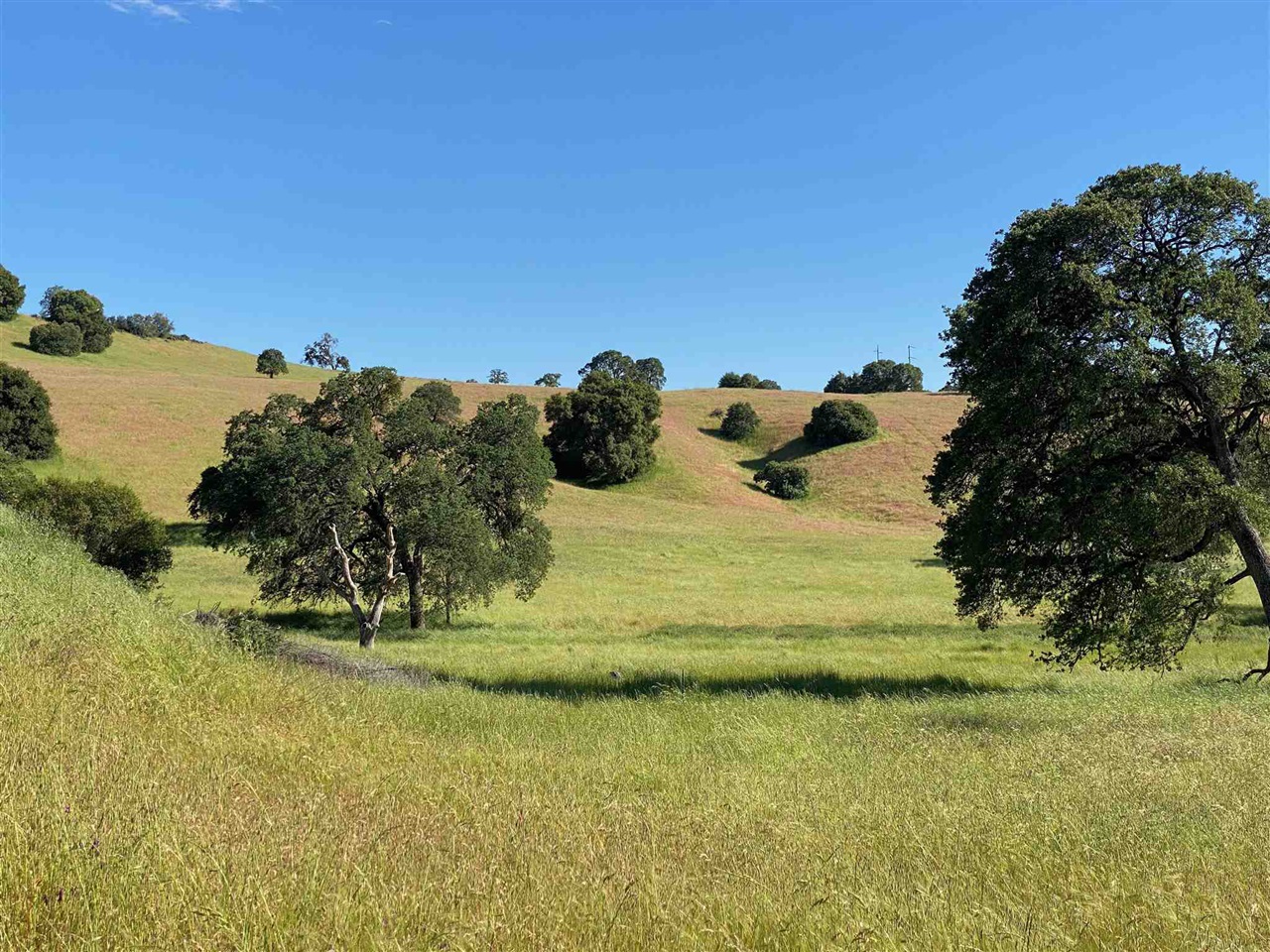 15653 Hwy 108, Jamestown CA 95327 — photo 48