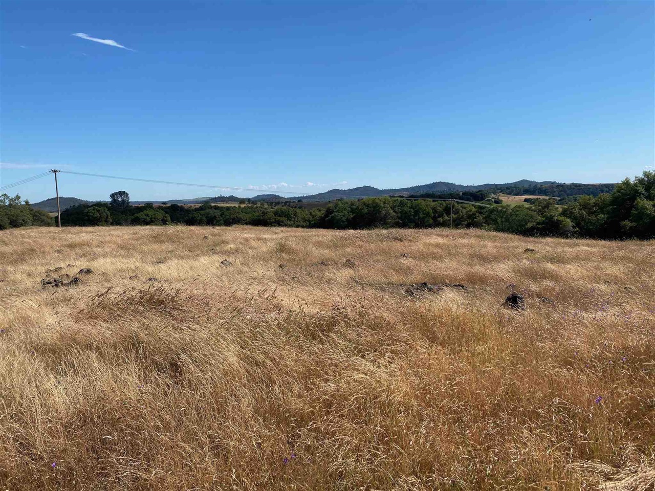 15653 Hwy 108, Jamestown CA 95327 — photo 55