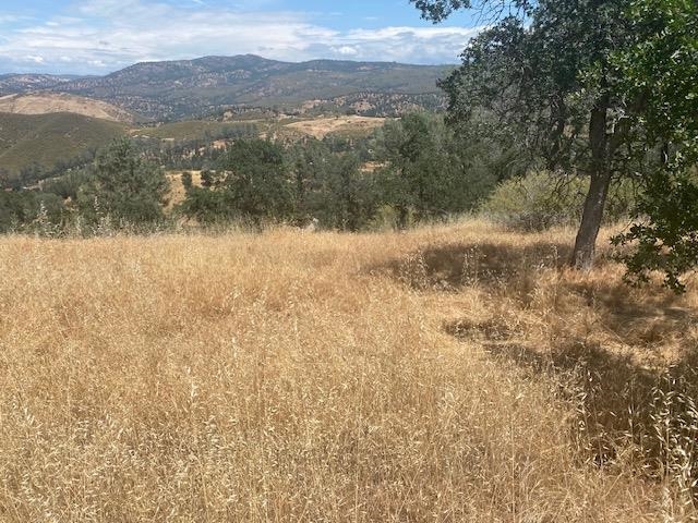 00000 Arbolada Dr, La Grange CA 95329 — photo 11