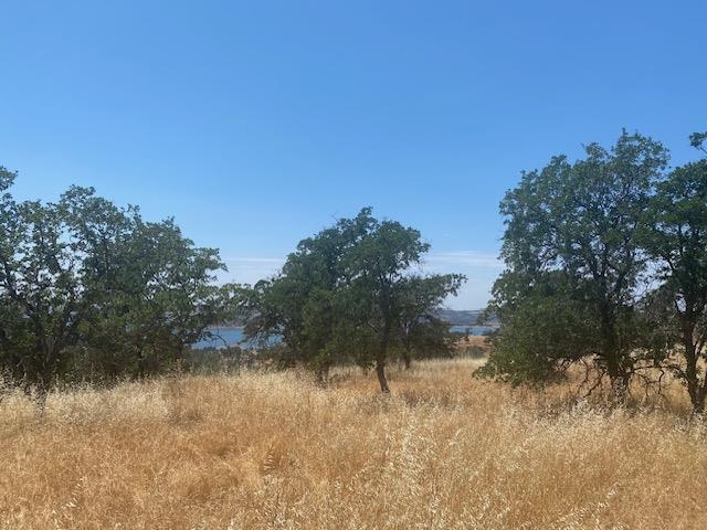 00000 Arbolada Dr, La Grange CA 95329 — photo 5