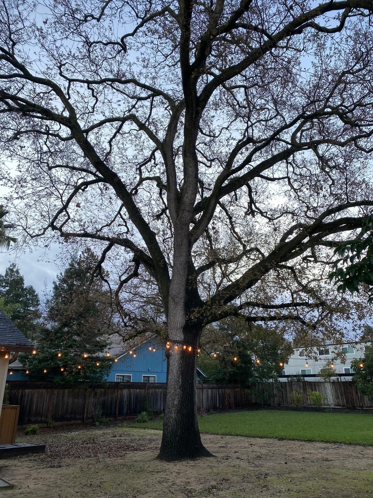 164 Via Del Sol, Walnut Creek, CA, 94597