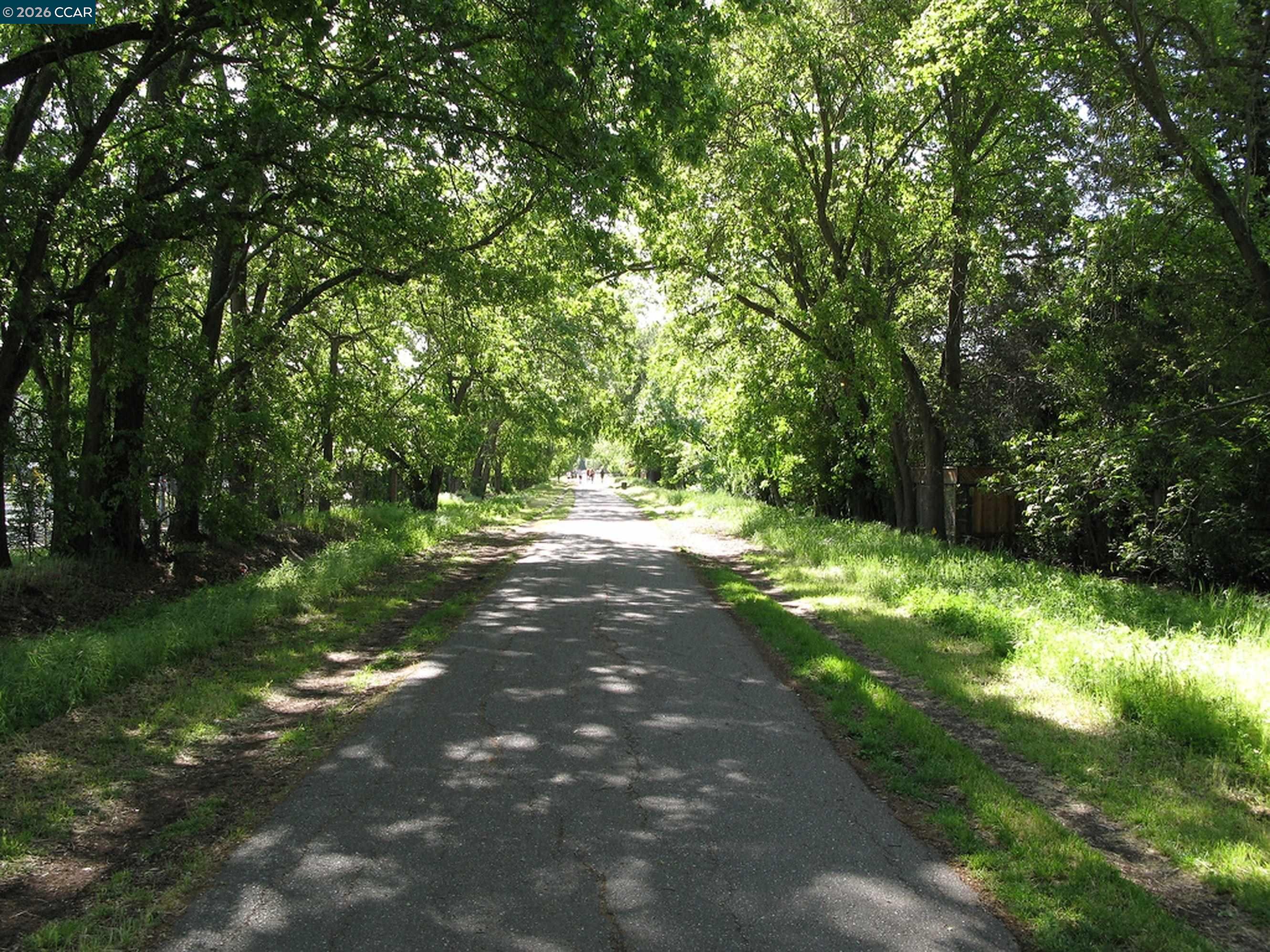 Detail Gallery Image 60 of 60 For 50 Vista Ln, Alamo,  CA 94507 - 5 Beds | 4 Baths