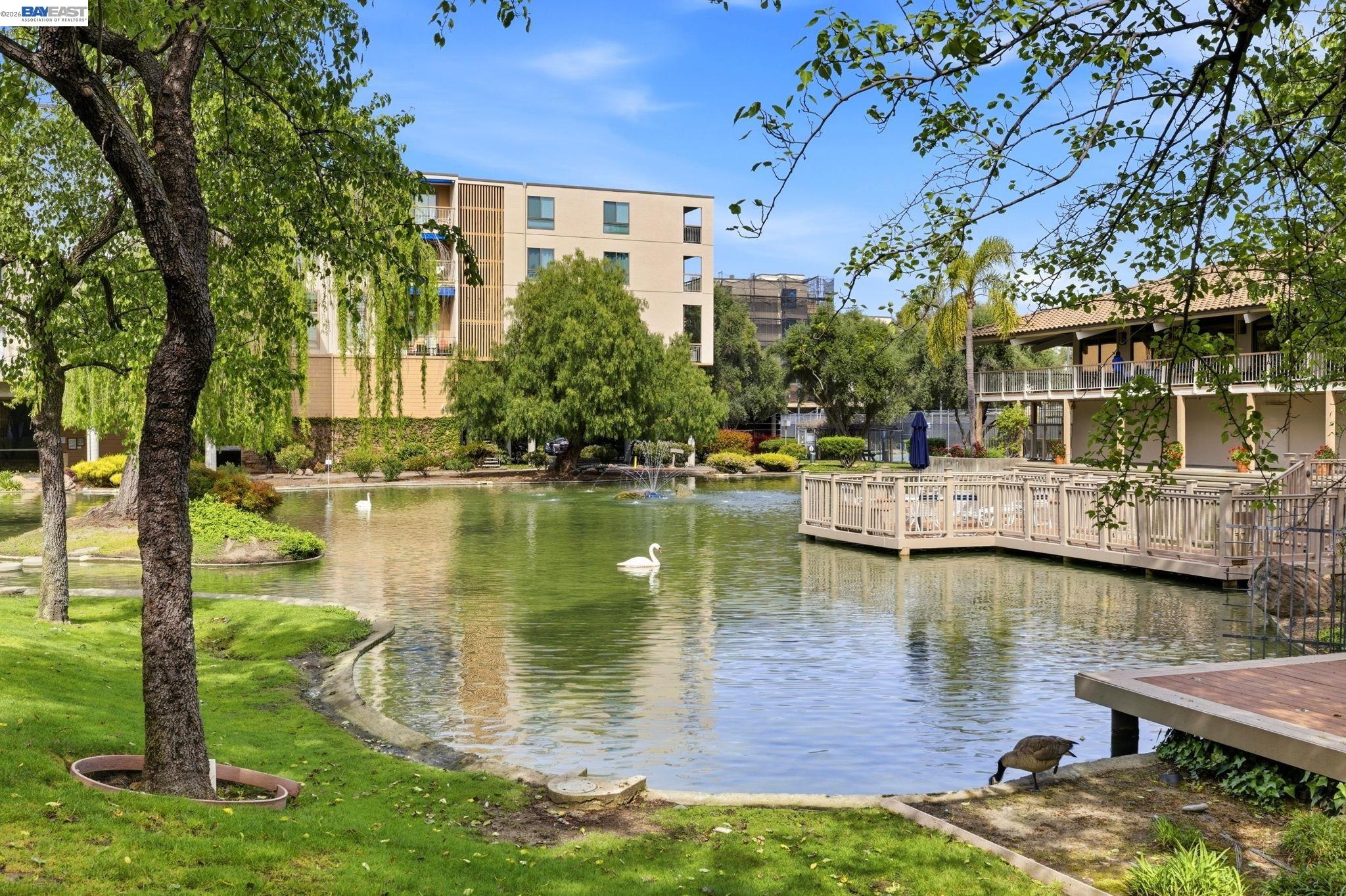 Photo #33: 41120151 Listing: Photo #33