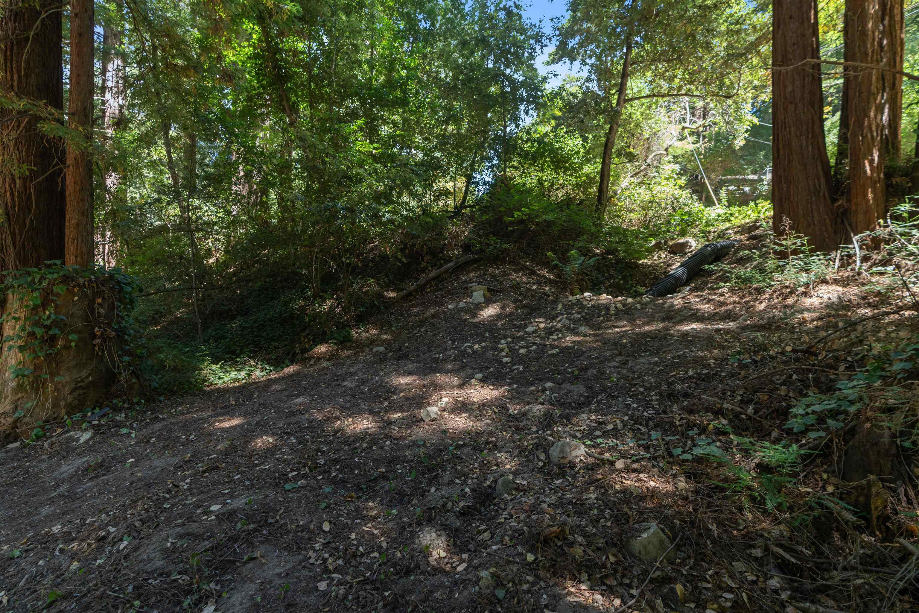 Detail Gallery Image 37 of 56 For 15475 Big Basin Way, Boulder Creek,  CA 95006 - 3 Beds | 2 Baths