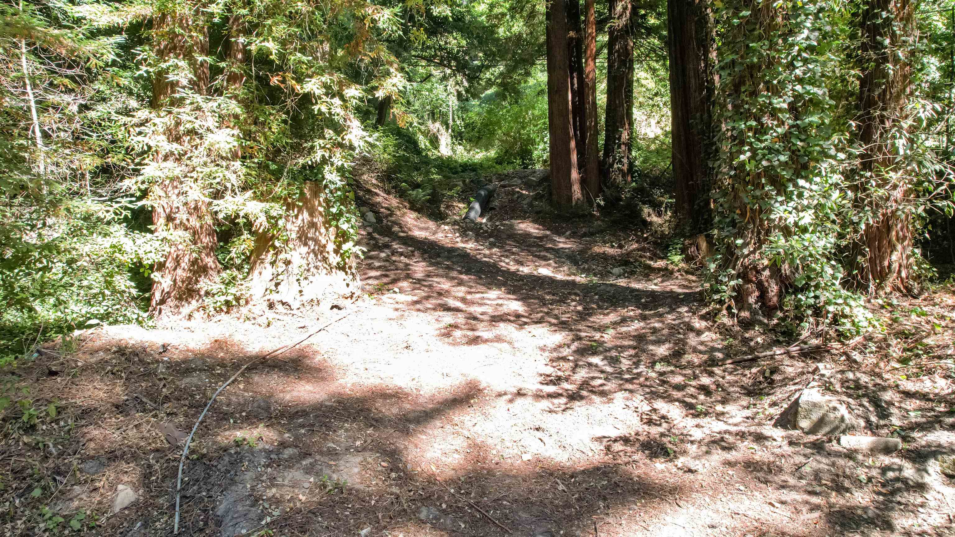 Detail Gallery Image 41 of 56 For 15475 Big Basin Way, Boulder Creek,  CA 95006 - 3 Beds | 2 Baths