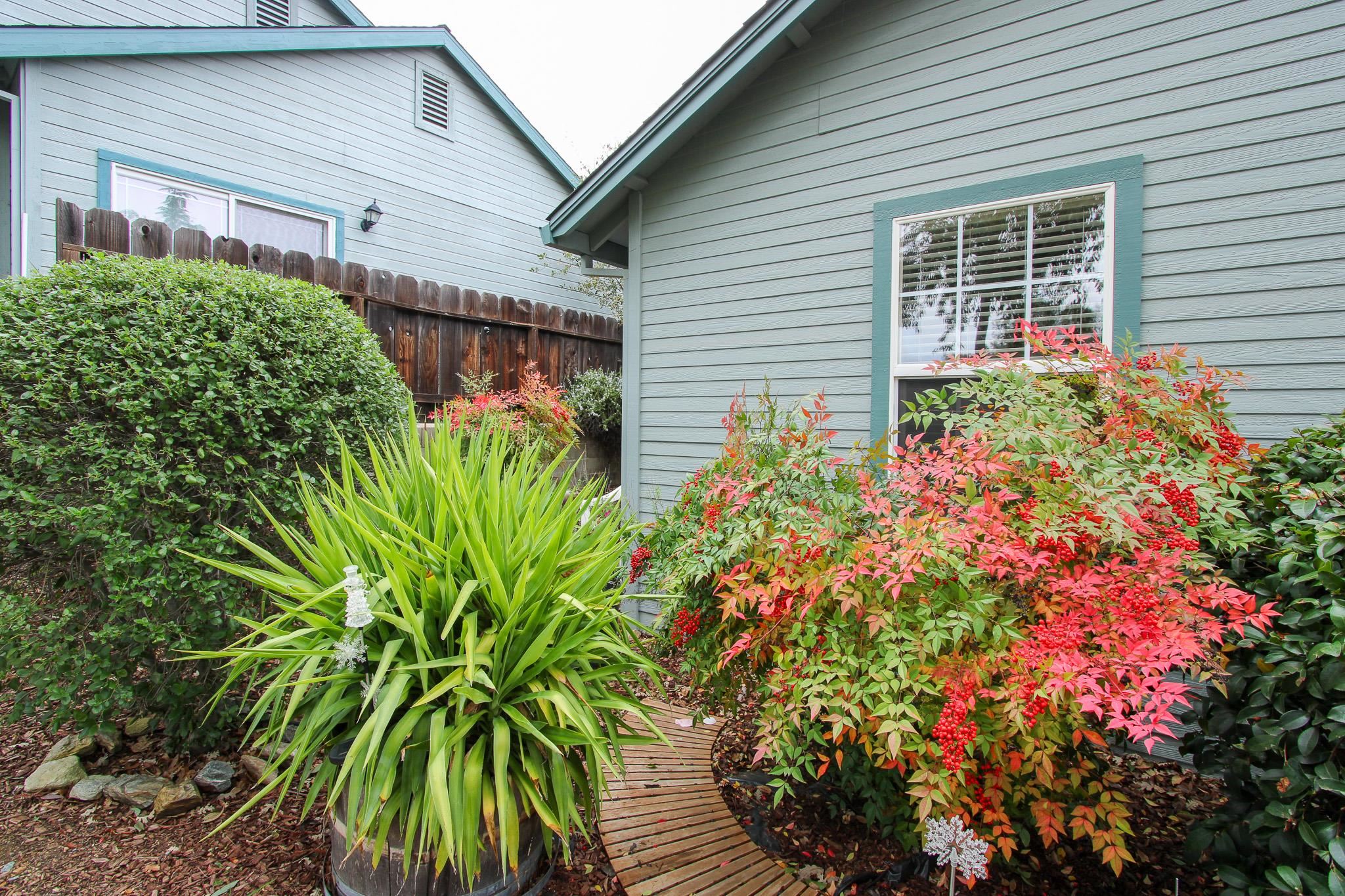 Detail Gallery Image 6 of 20 For 1225 Annalee Dr, Angels Camp,  CA 95222 - 2 Beds | 1 Baths