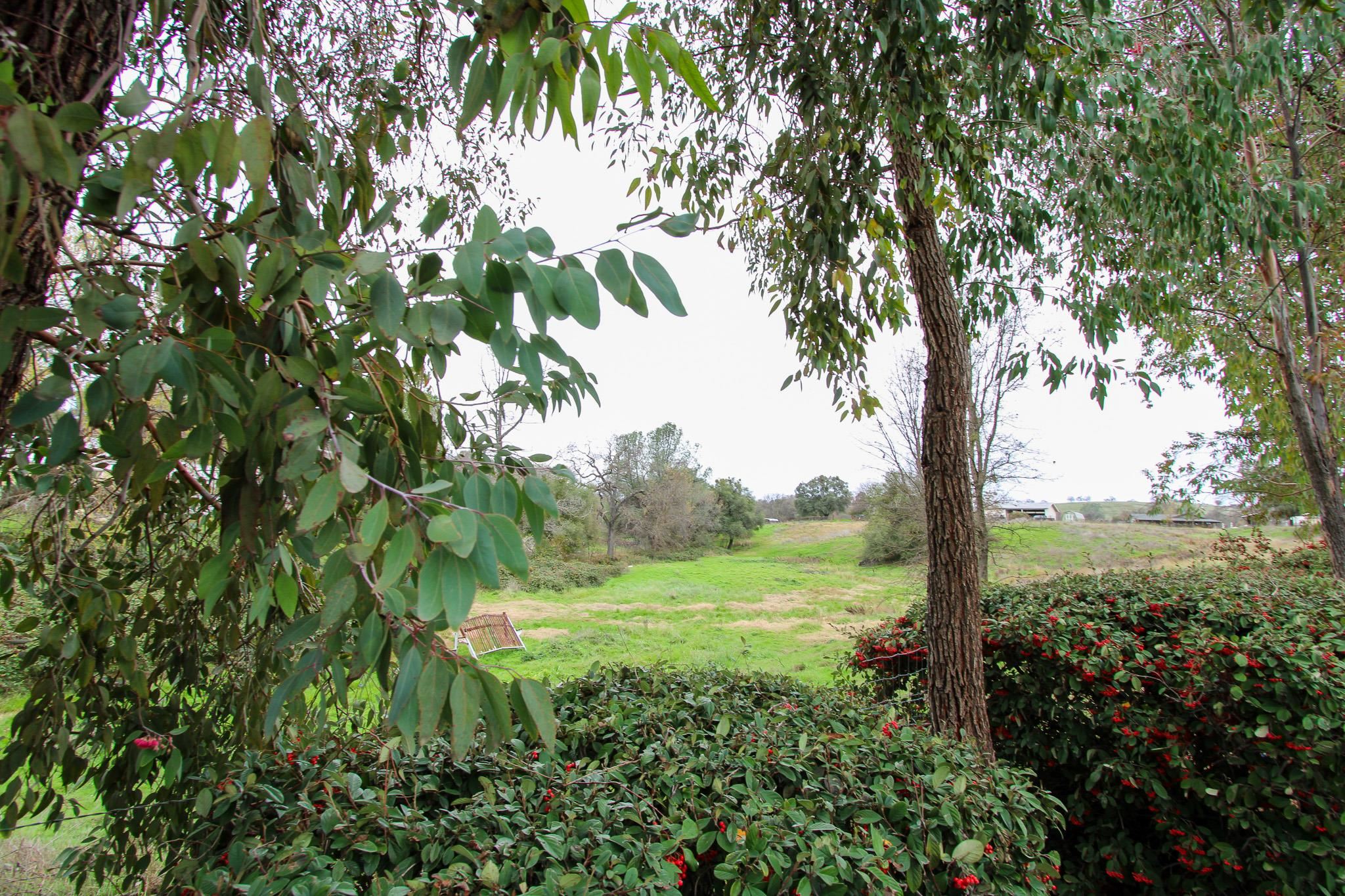 Detail Gallery Image 8 of 20 For 1225 Annalee Dr, Angels Camp,  CA 95222 - 2 Beds | 1 Baths