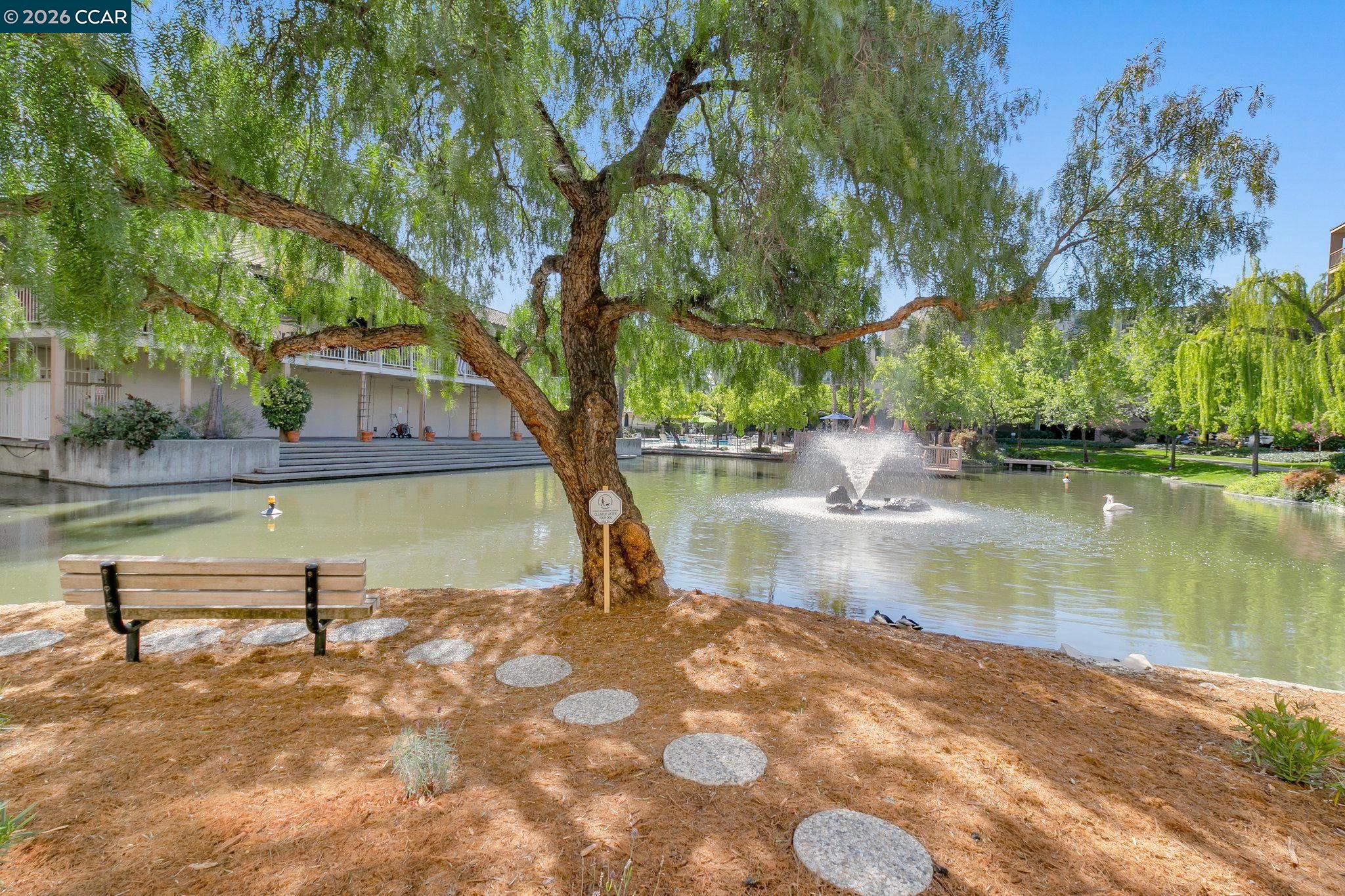 340 Civic Dr UNIT 503, Walnut Creek, CA, 94596