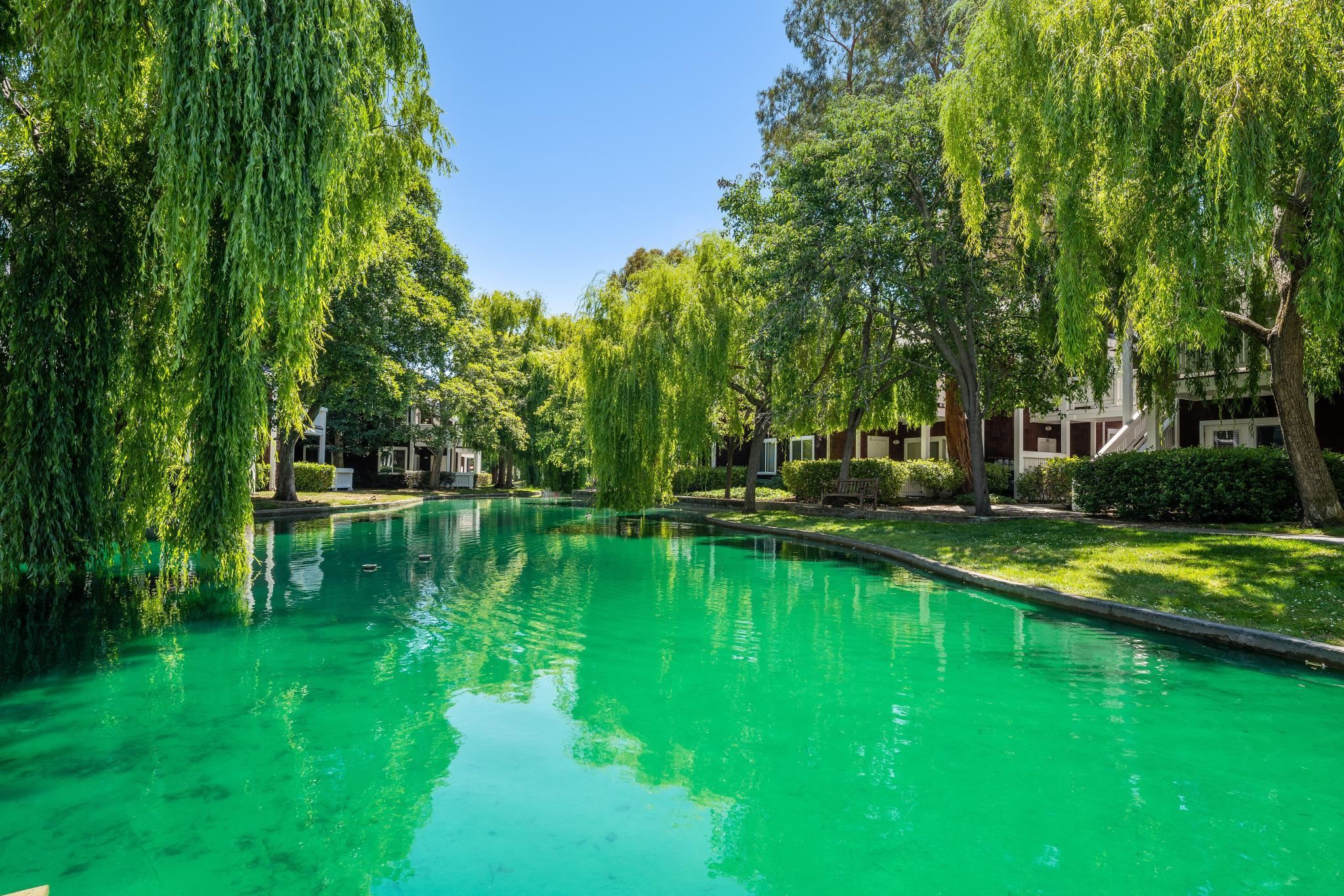 Photo #43: 41120235 Listing: Photo #43