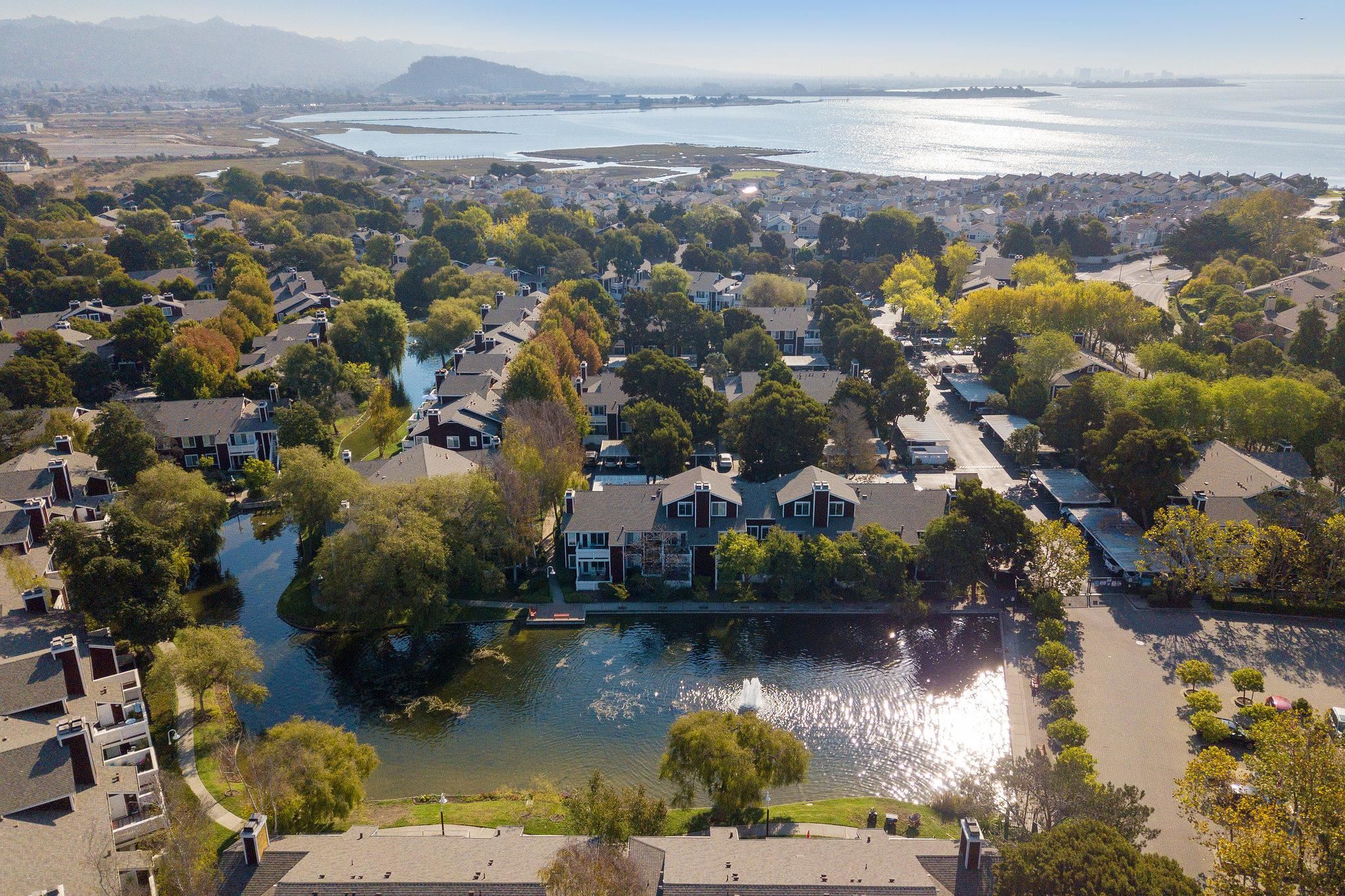 Photo #44: 41120235 Listing: Photo #44