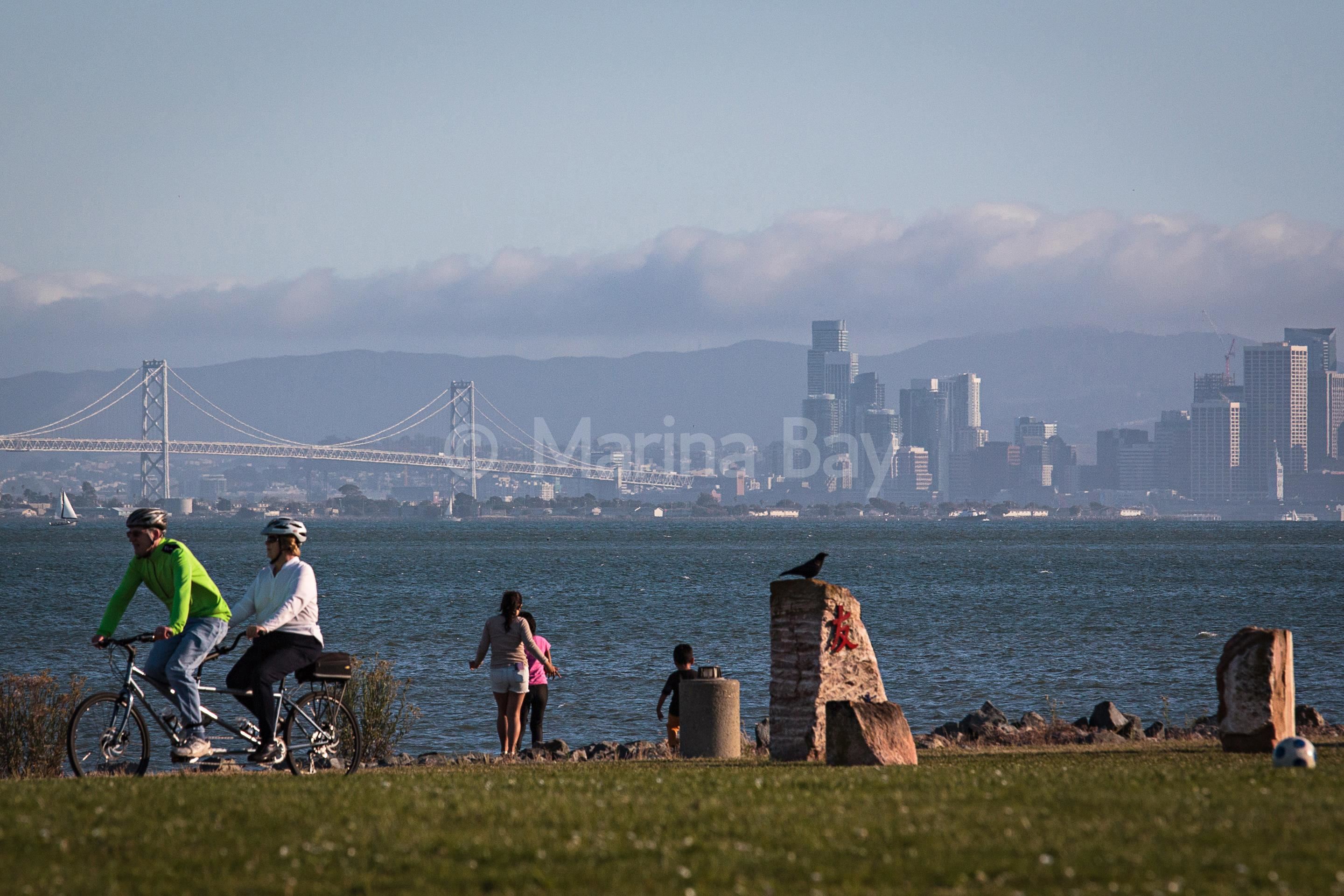 Photo #48: 41120235 Listing: Photo #48