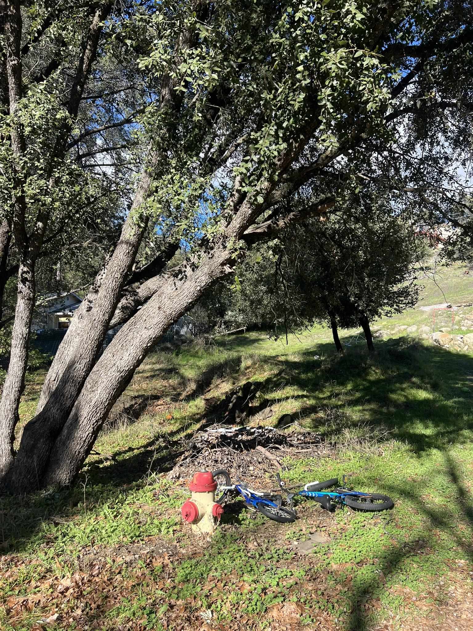 00000 Creekside Drive, Sonora, CA, 95370