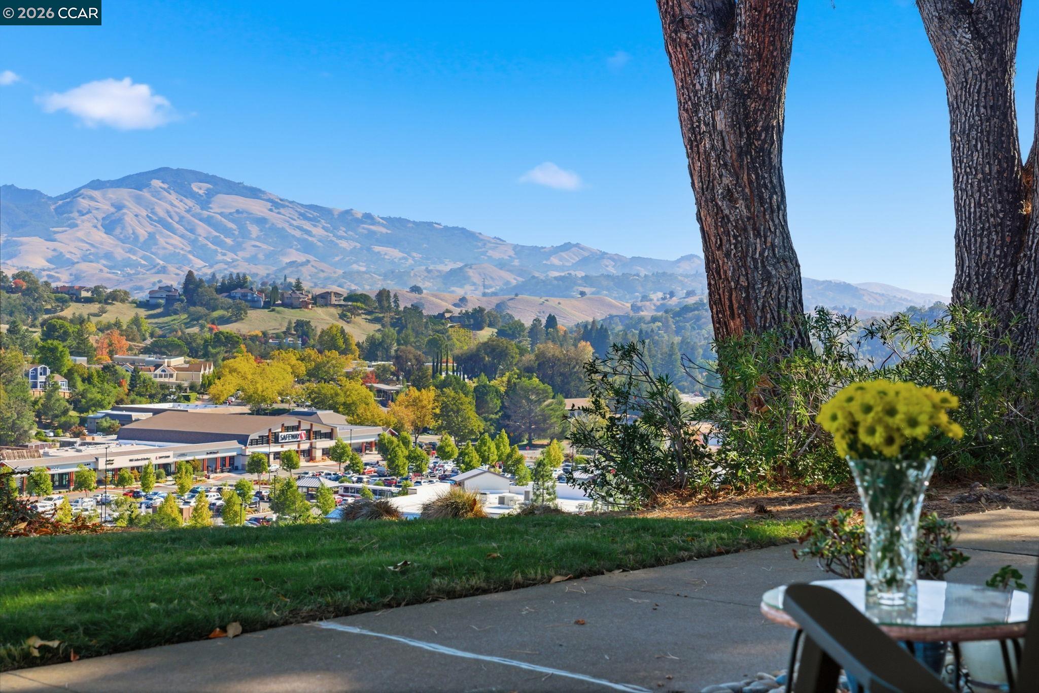 Front Image Thumbnail for CC41120391