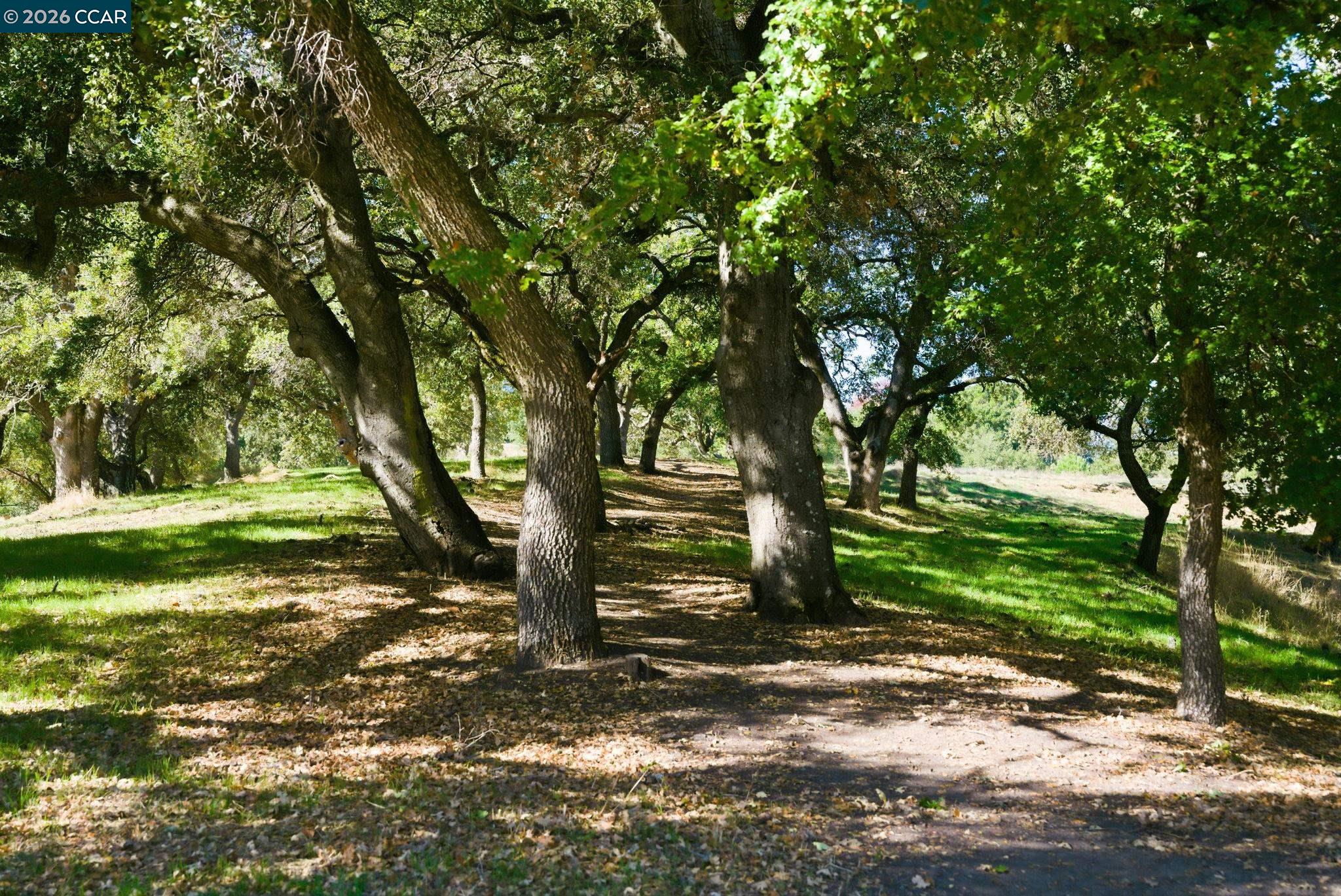 Photo #42: 41120391 Listing: Photo #42