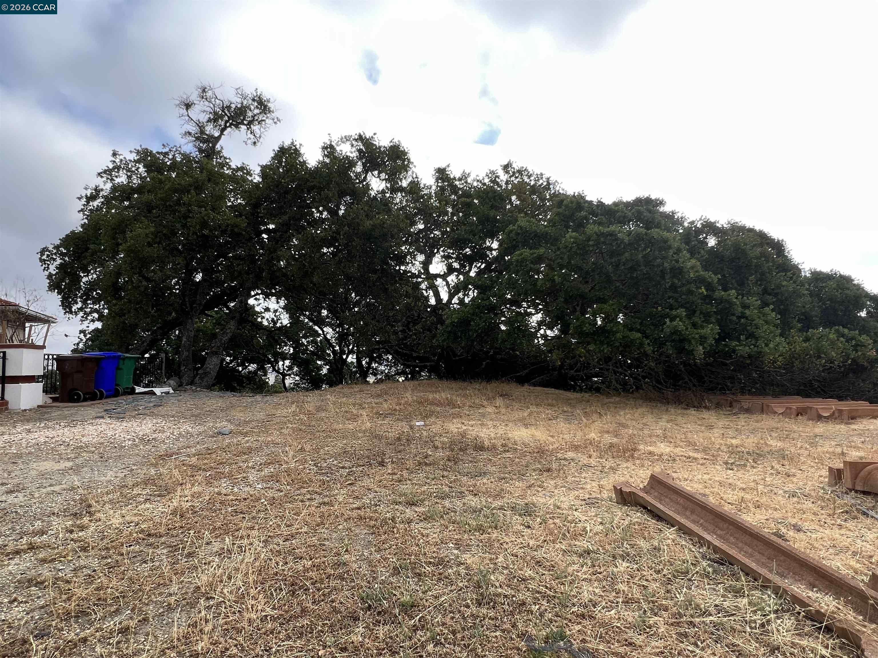 Front Image Thumbnail for CC41120460