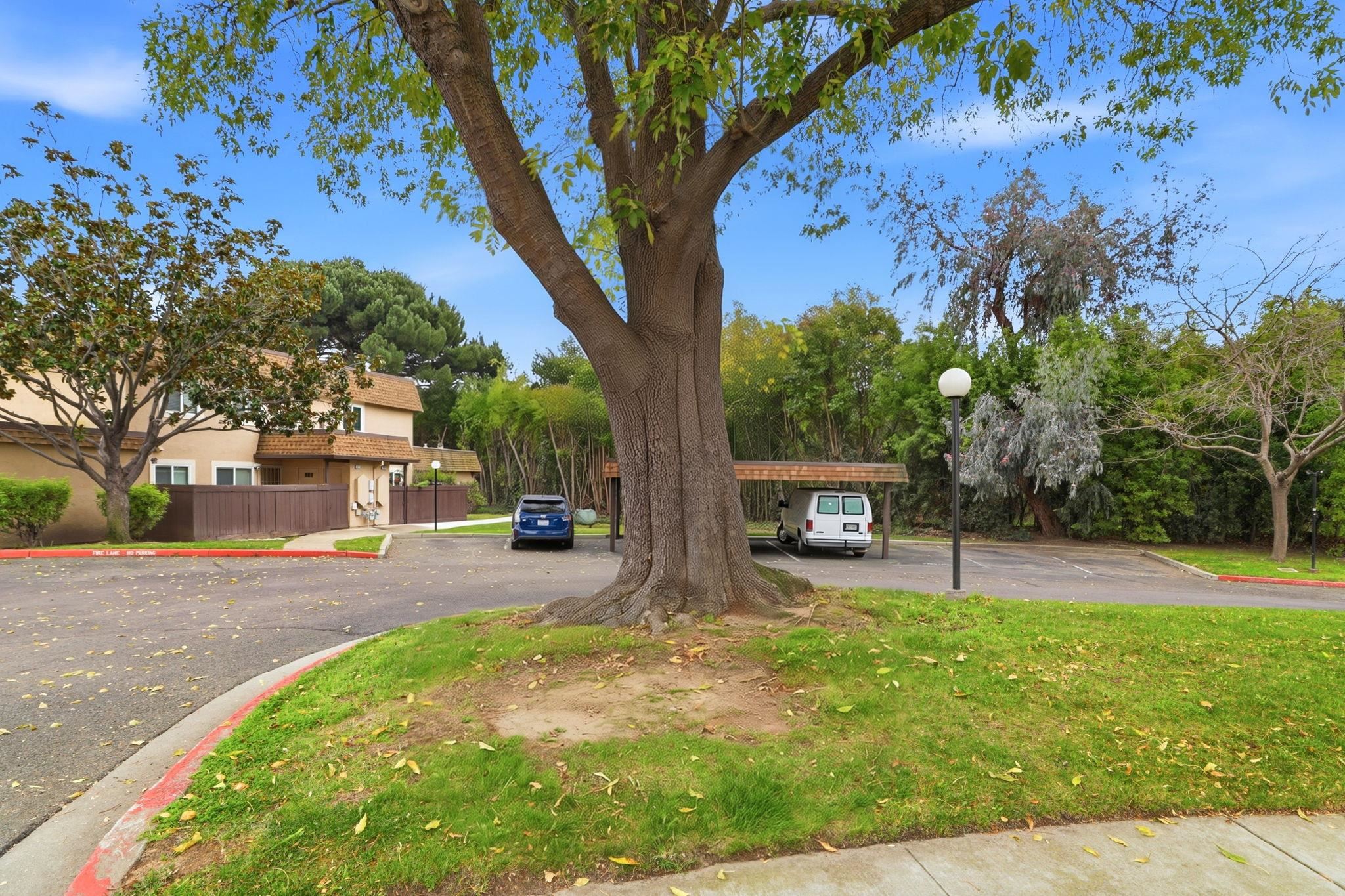 Photo #35: 41120510 Listing: Photo #35