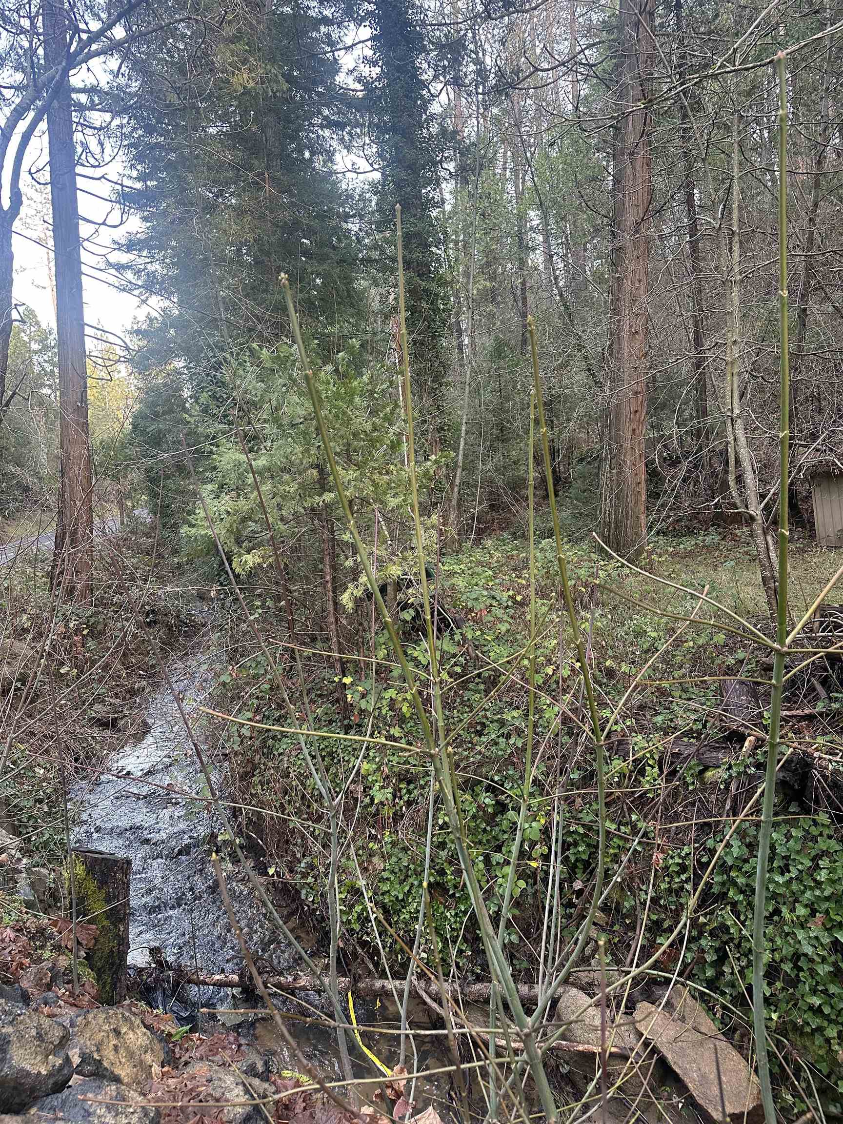 Front Image Thumbnail for EB41120594