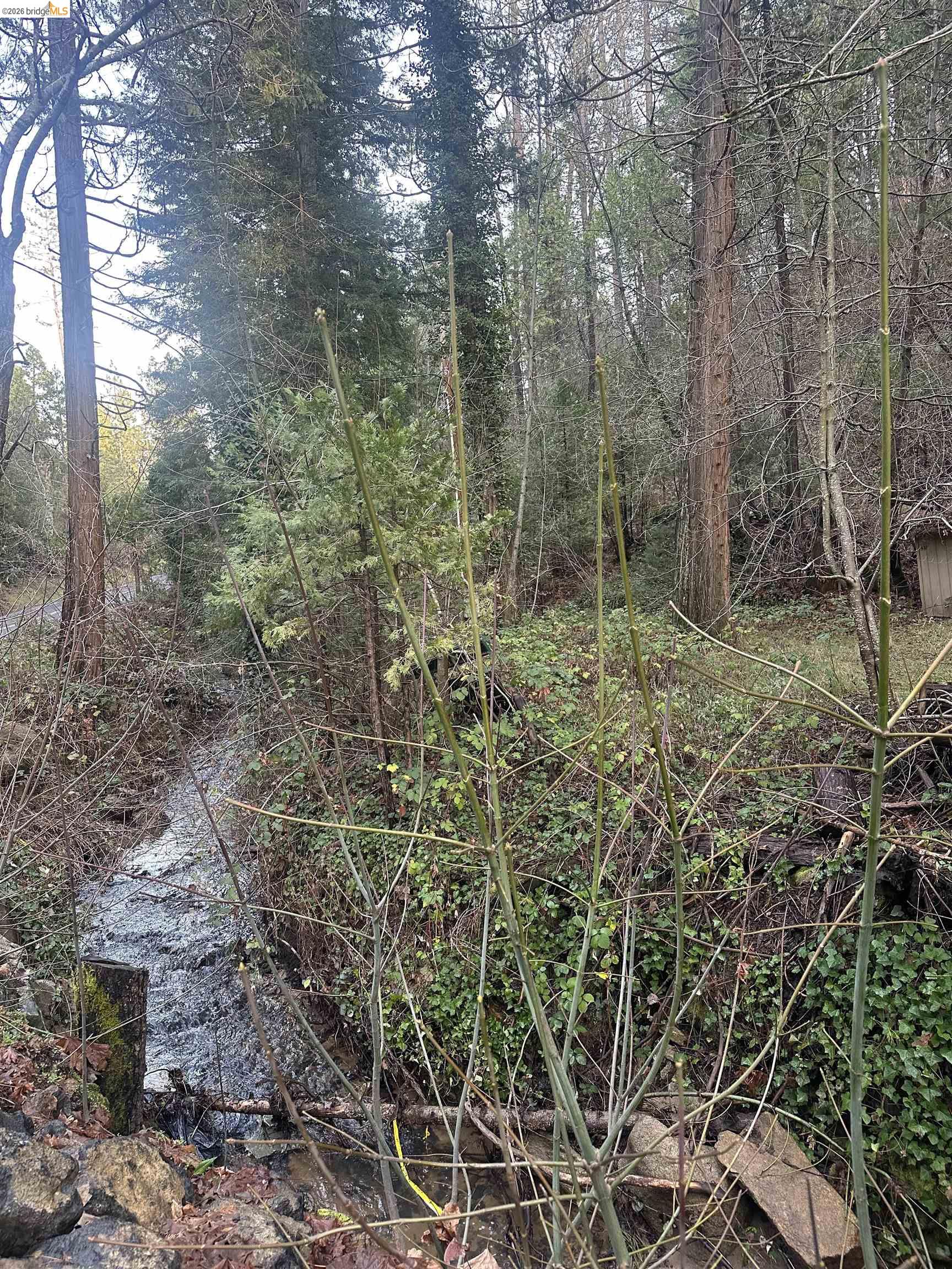 22895 S Fork Rd., Twain Harte CA 95383 — photo 2