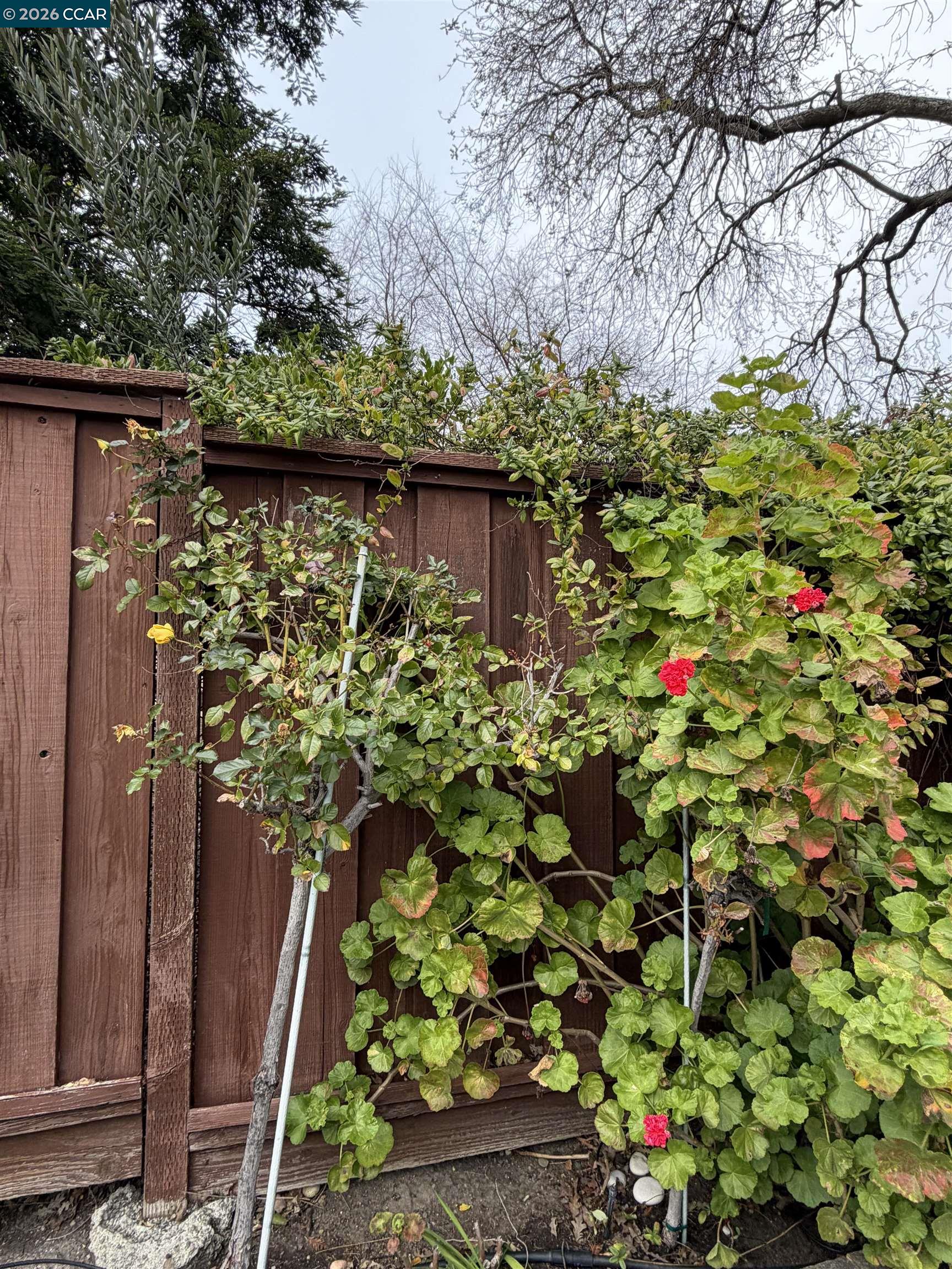 Detail Gallery Image 31 of 48 For 350 Caroni St, Walnut Creek,  CA 94597 - 4 Beds | 3 Baths