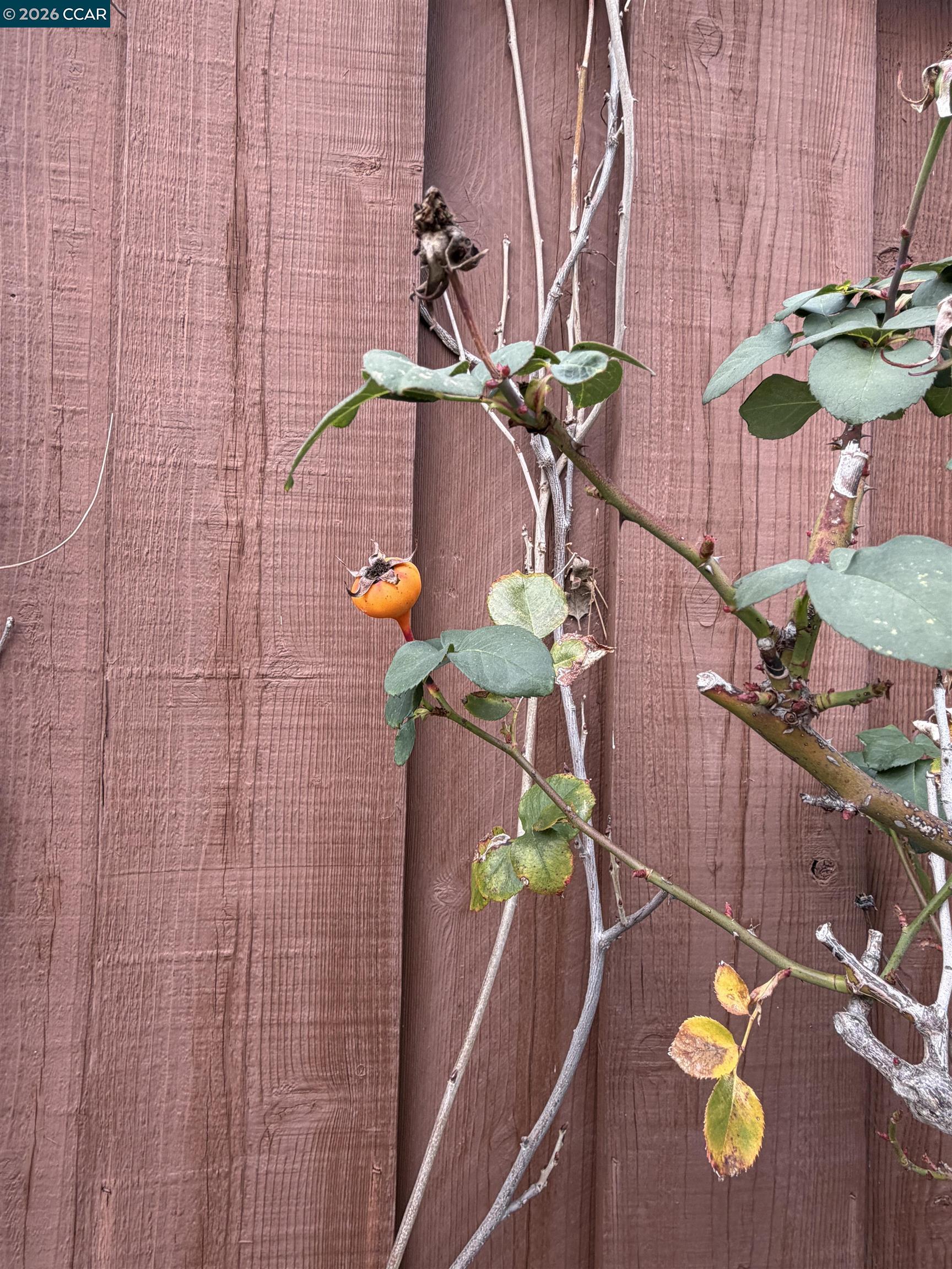 Detail Gallery Image 8 of 48 For 350 Caroni St, Walnut Creek,  CA 94597 - 4 Beds | 3 Baths