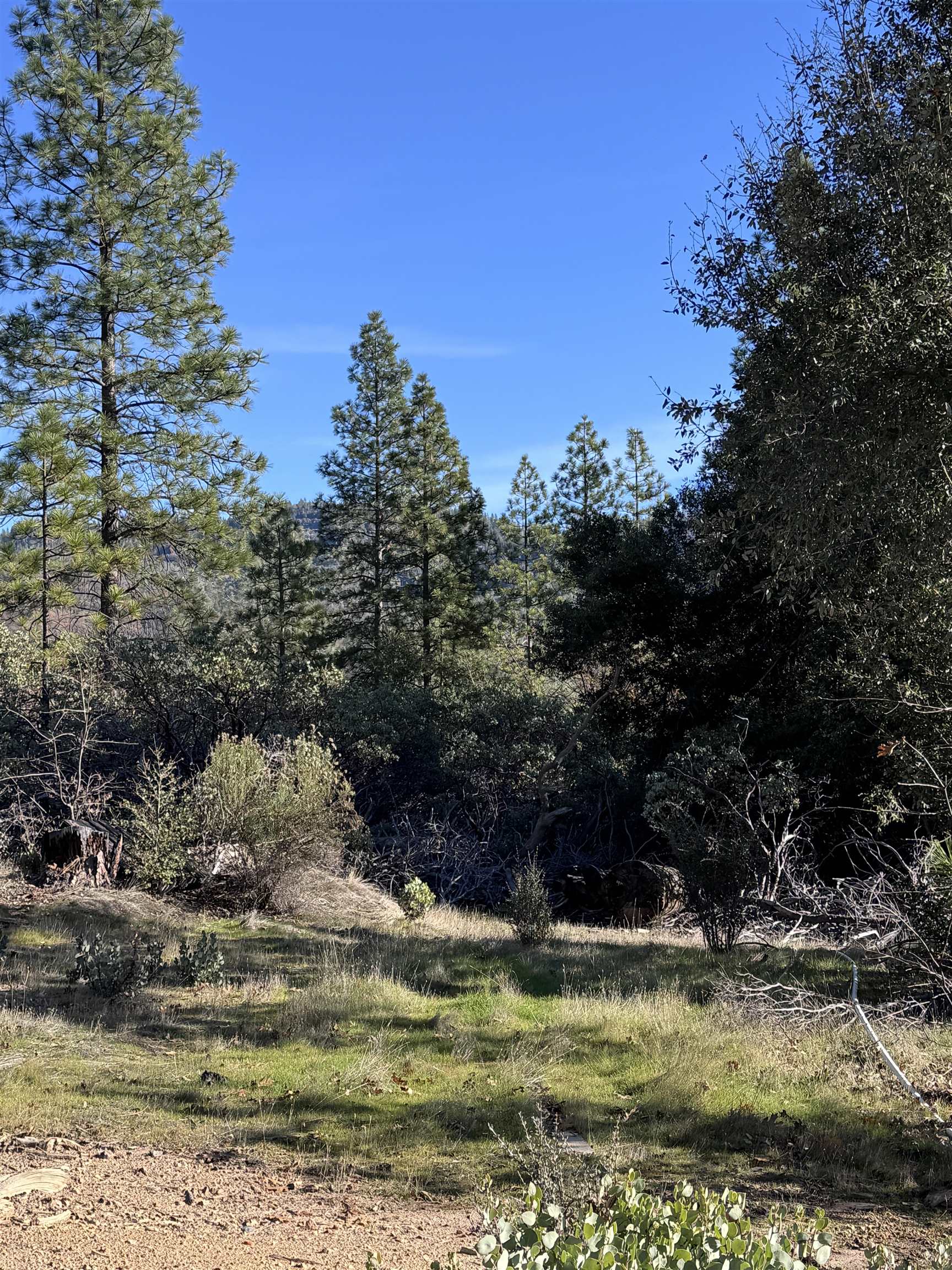 28560 Italian Bar Rd, Twain Harte CA 95383 — photo 5