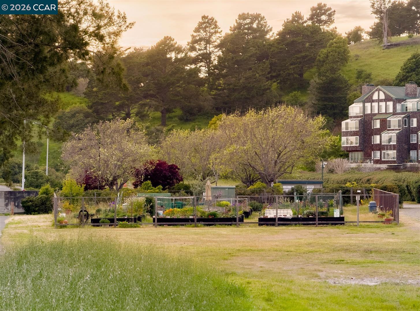 Photo #43: 41120706 Listing: Photo #43