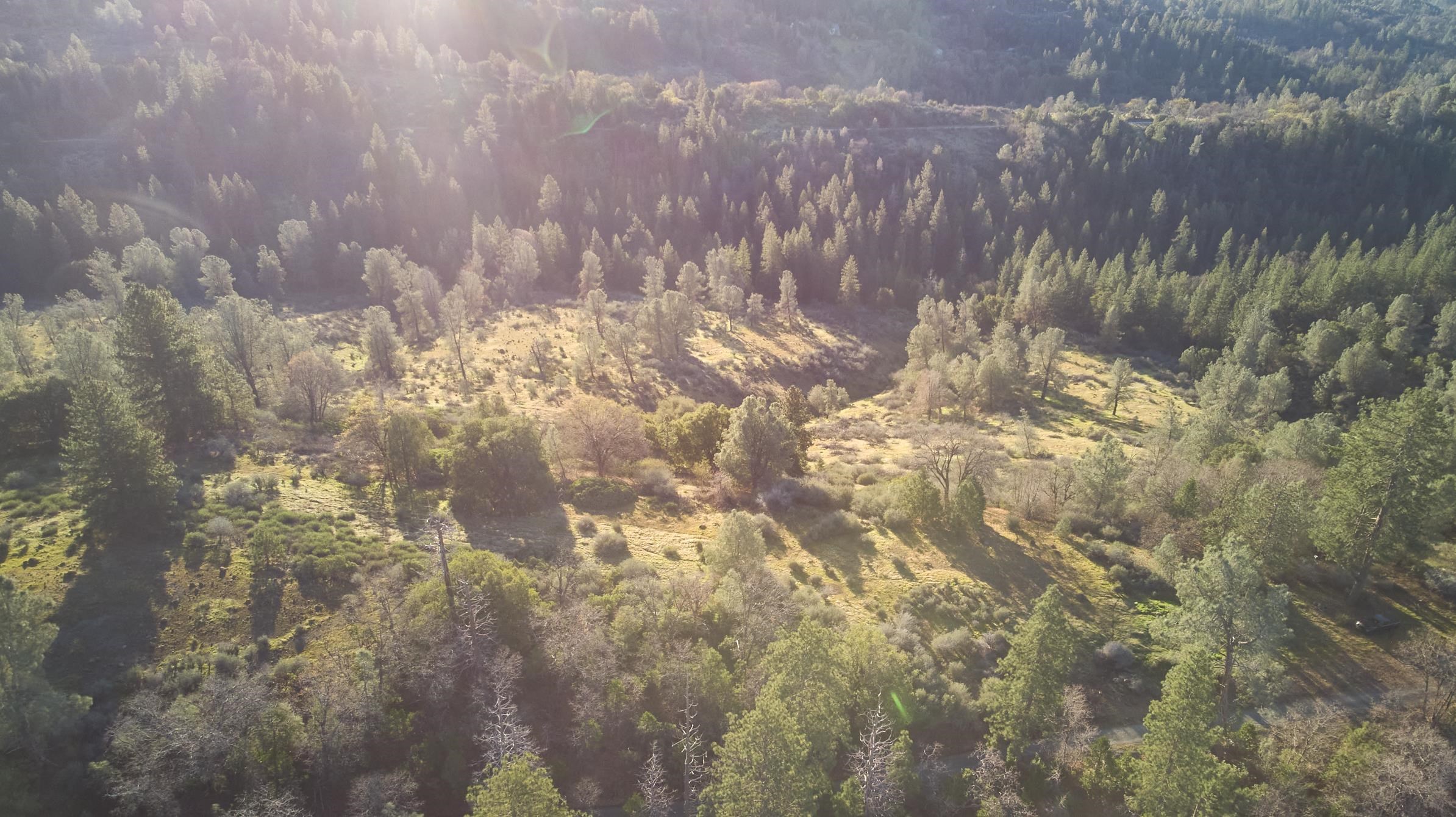 Detail Gallery Image 11 of 12 For 0 Freedom Way, Twain Harte,  CA 95383 - – Beds | – Baths