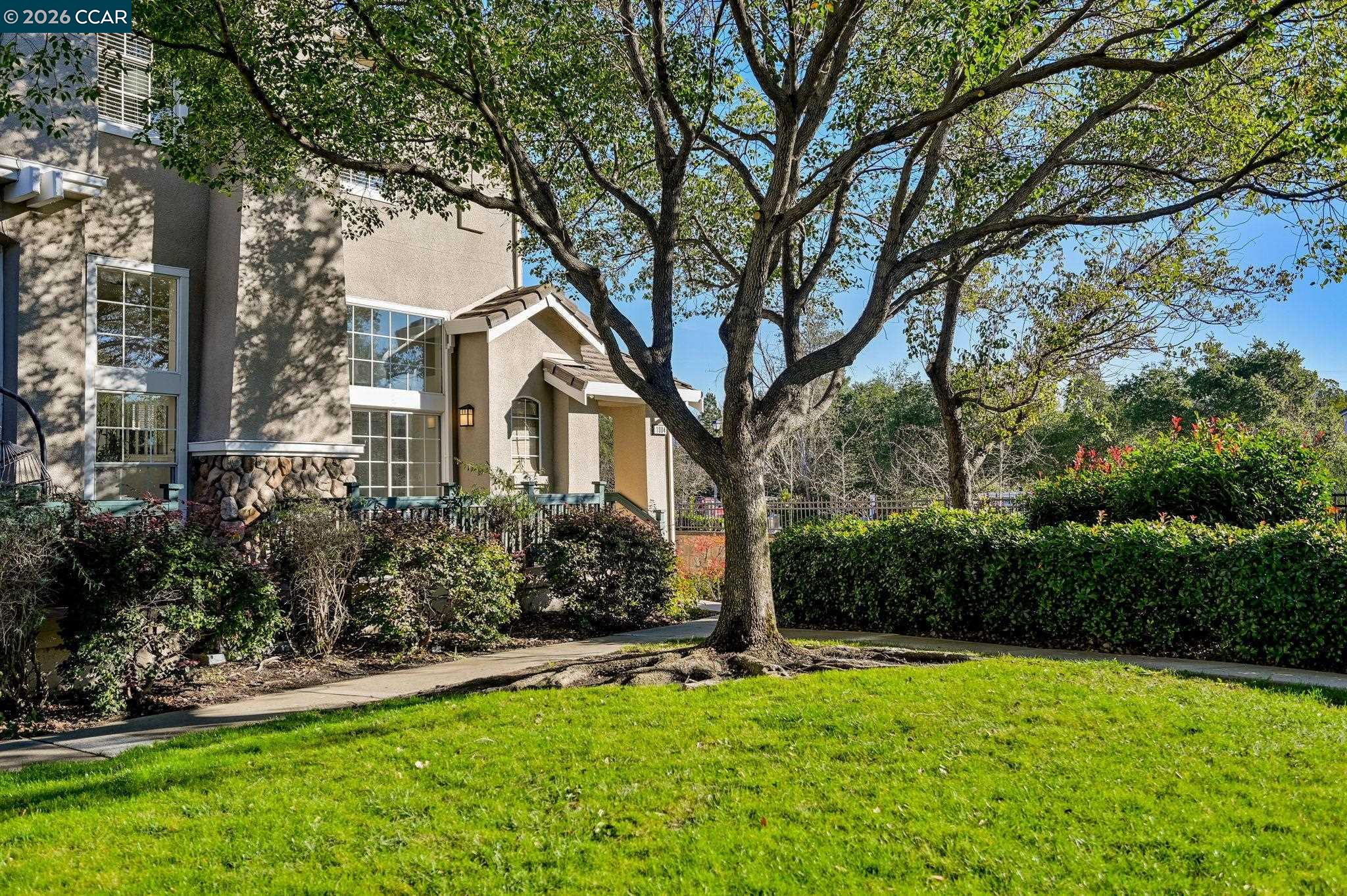 Front Image Thumbnail for CC41120824