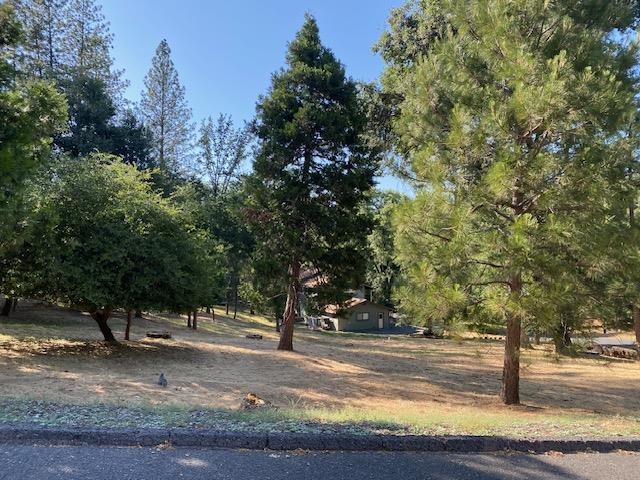 20782 Buttercup Circle, Groveland CA 95321 — photo 3
