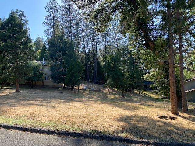 20782 Buttercup Circle, Groveland CA 95321 — photo 5