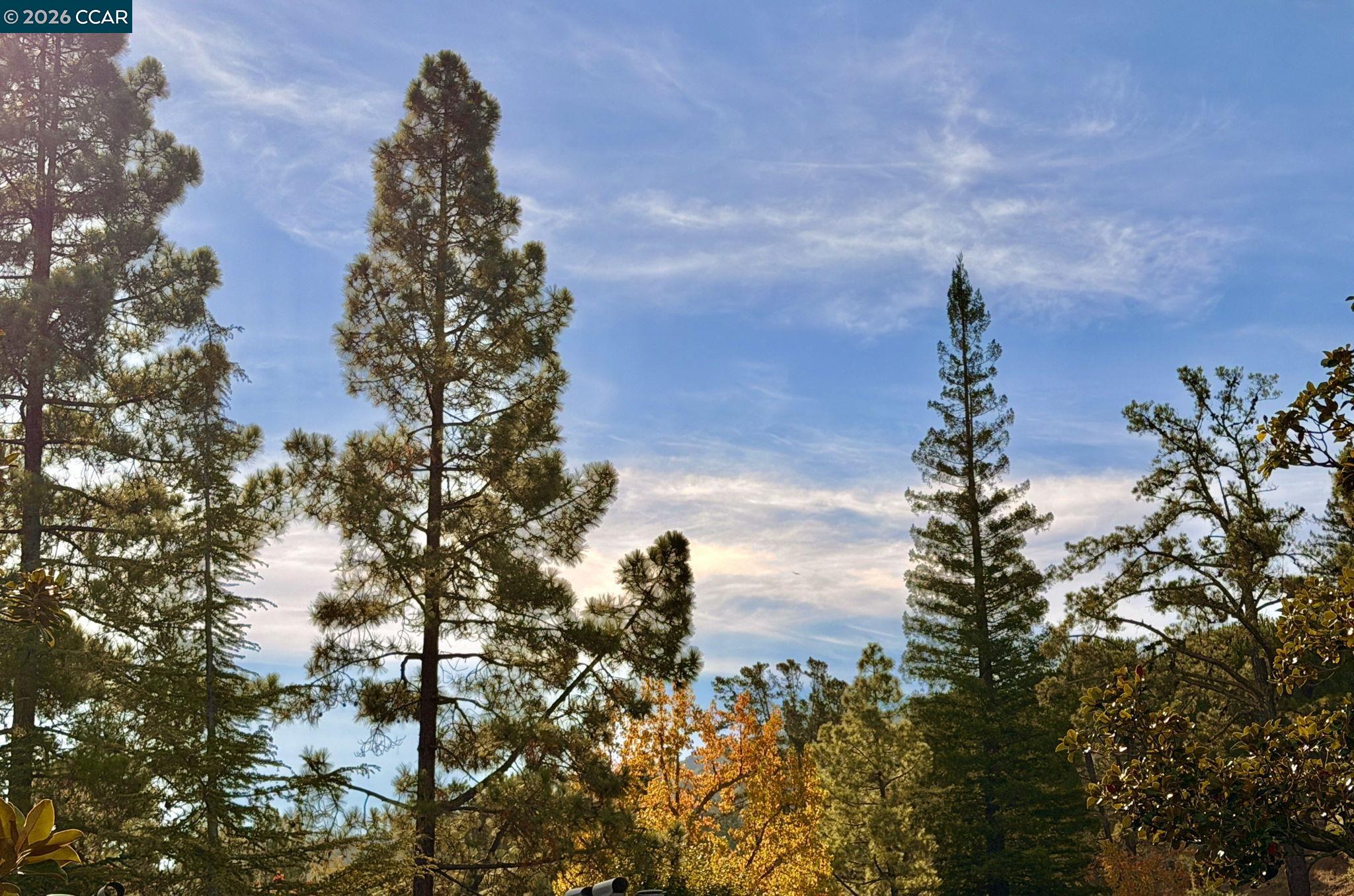 1324 Singingwood Court UNIT 3, Walnut Creek, CA, 94595