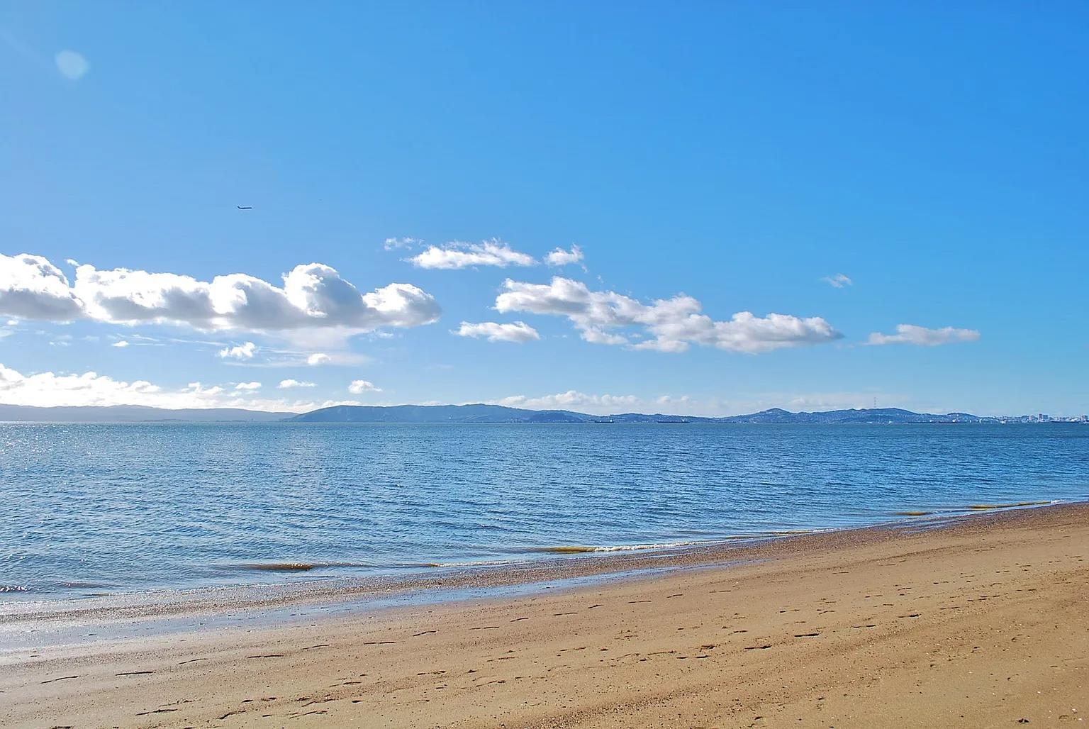 Detail Gallery Image 4 of 6 For 325 Kitty Hawk Rd #304,  Alameda,  CA 94501 - 2 Beds | 2 Baths