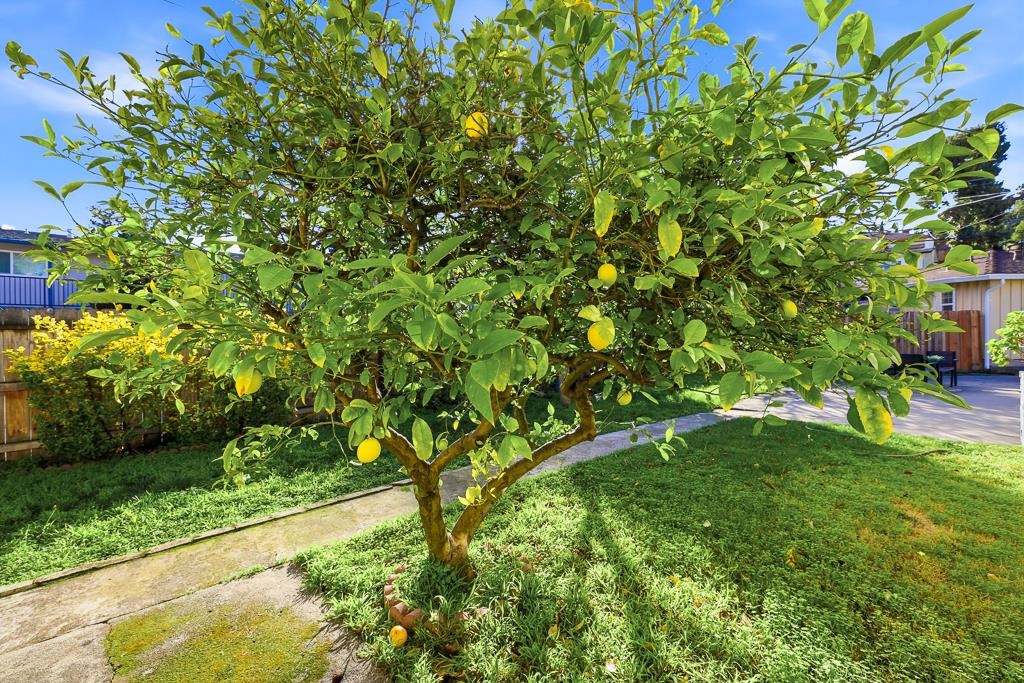 Detail Gallery Image 47 of 59 For 19790 Stanton Ave, Castro Valley,  CA 94546 - 4 Beds | 3 Baths