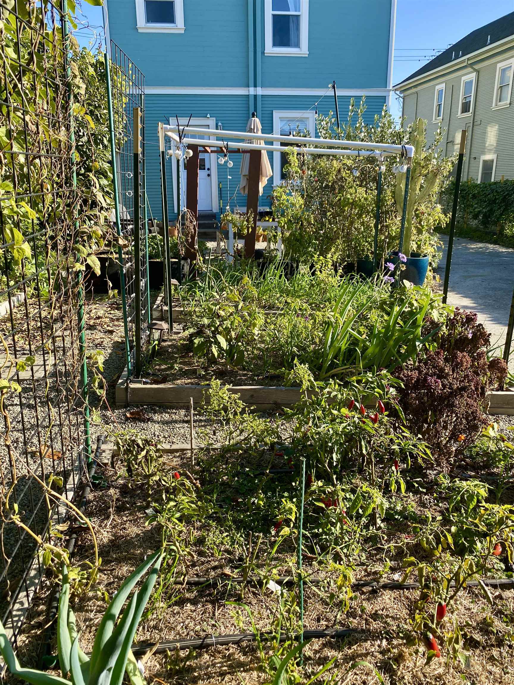 Detail Gallery Image 34 of 39 For 1919 48th Ave, Oakland,  CA 94601 - 4 Beds | 2 Baths