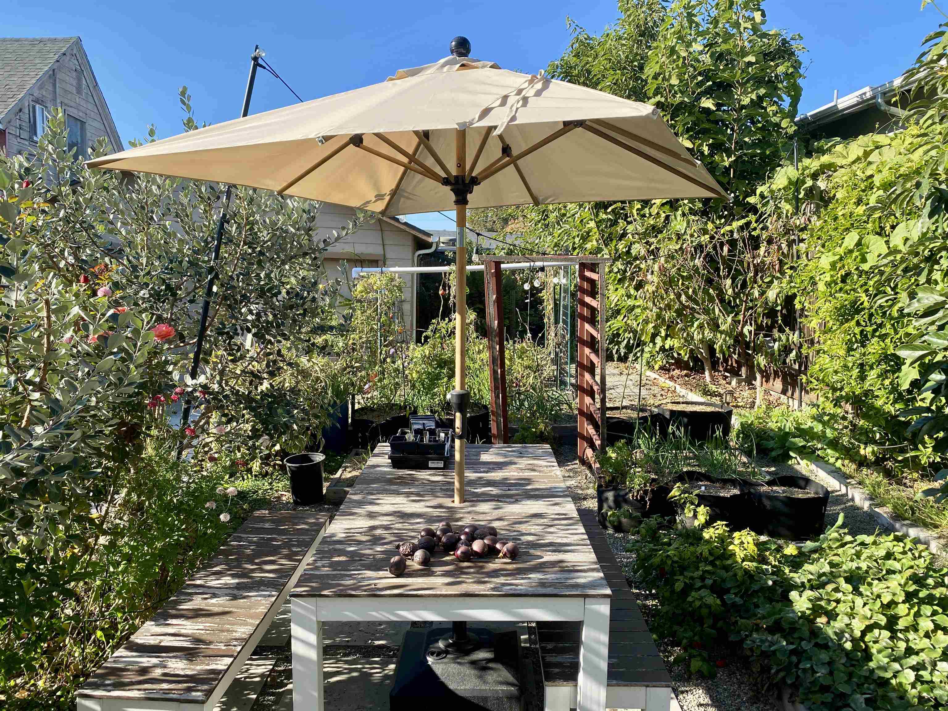 Detail Gallery Image 38 of 39 For 1919 48th Ave, Oakland,  CA 94601 - 4 Beds | 2 Baths