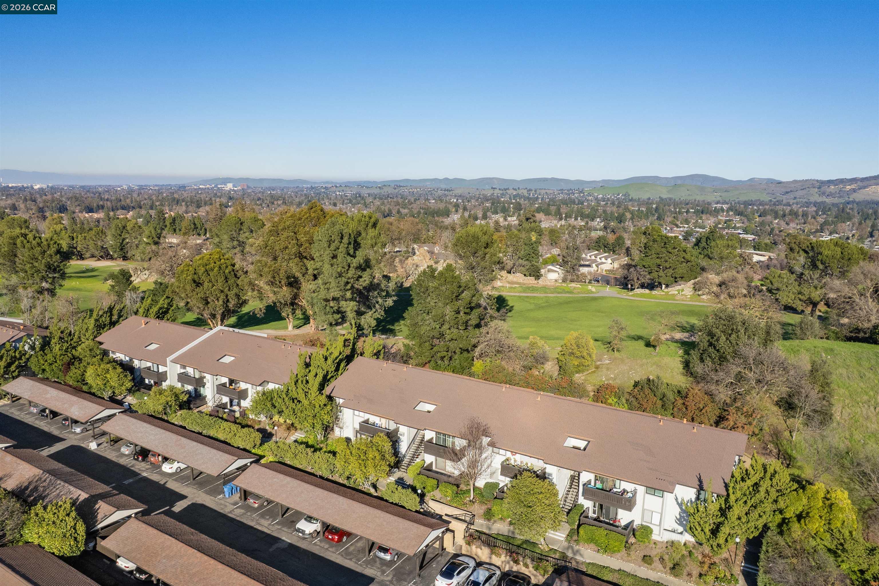 Detail Gallery Image 2 of 39 For 1407 Marchbanks Drive #3,  Walnut Creek,  CA 94598 - 1 Beds | 1 Baths