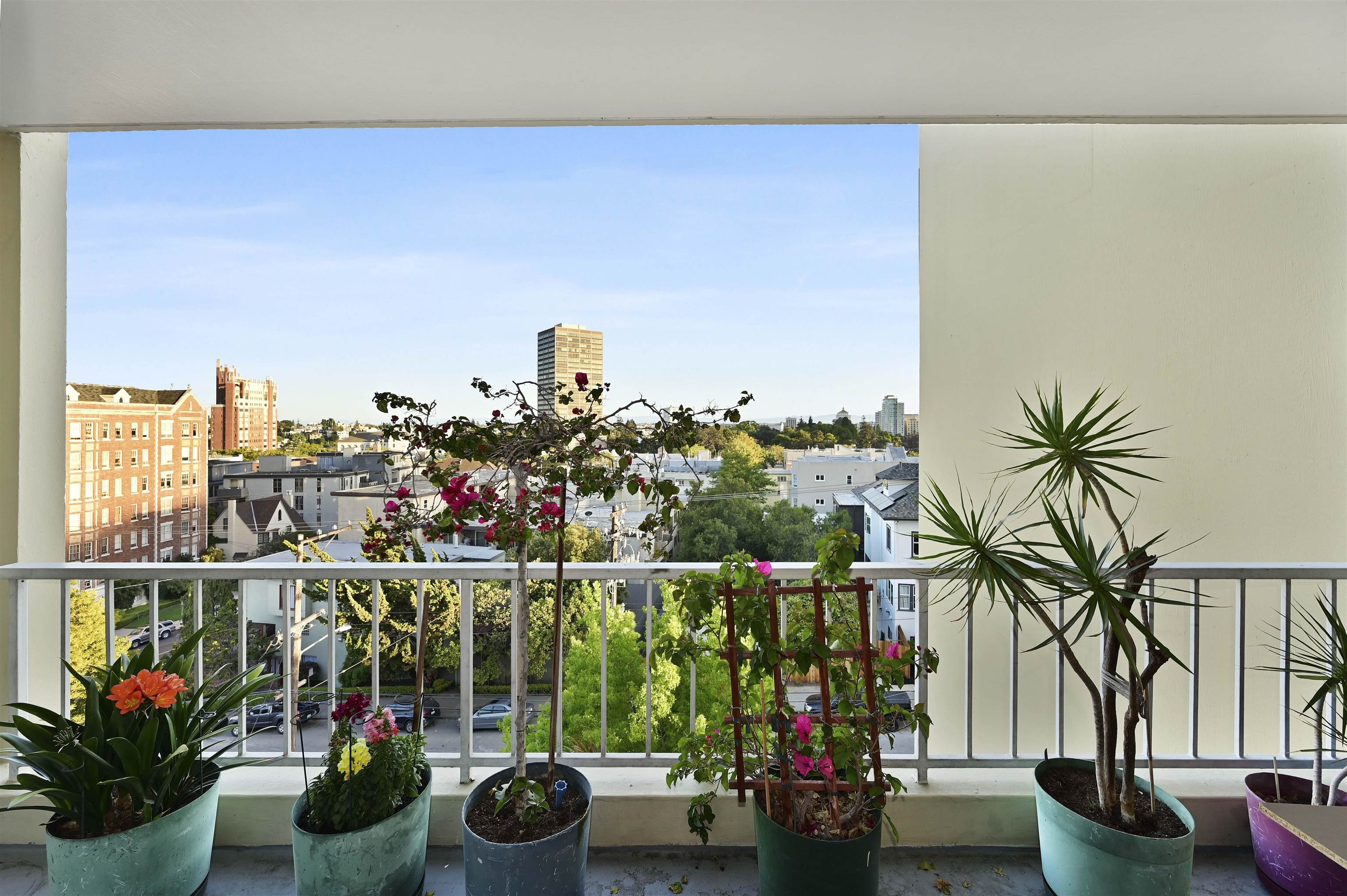 Photo #7: 41121022 Listing: Photo #7