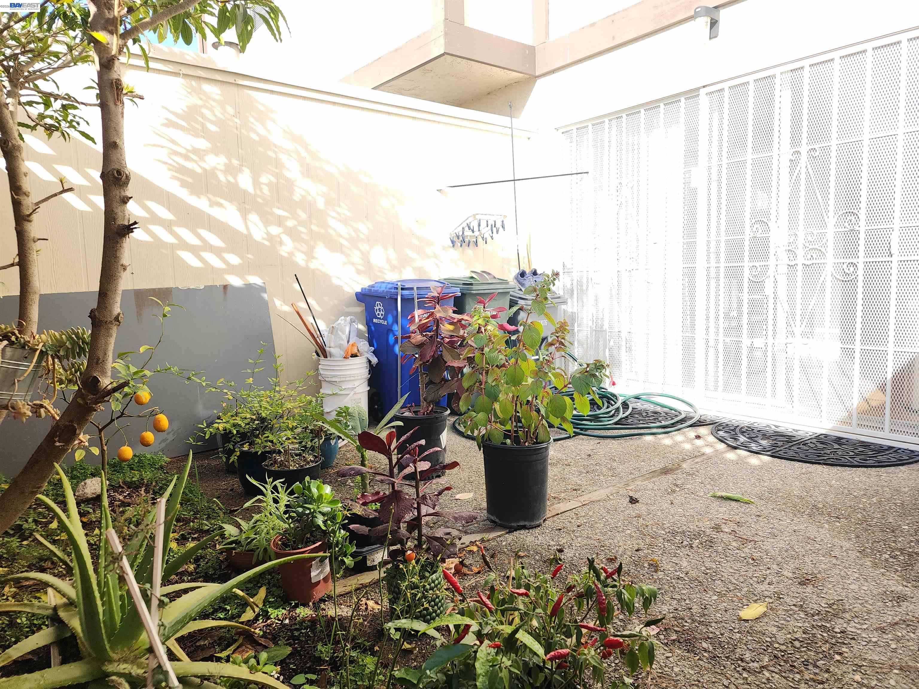 Photo #12: 41121095 Listing: Photo #12