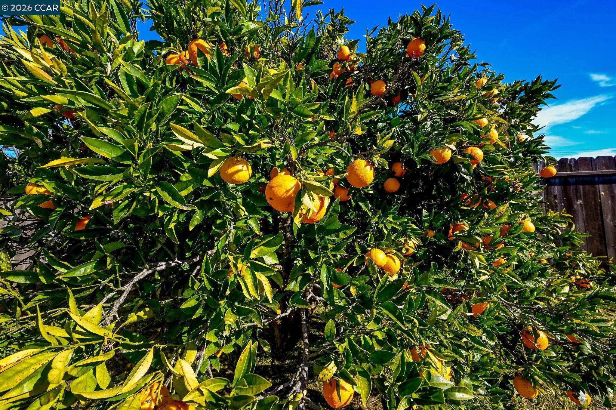 Detail Gallery Image 20 of 23 For 816 Grant St, Vallejo,  CA 94590 - 3 Beds | 2 Baths