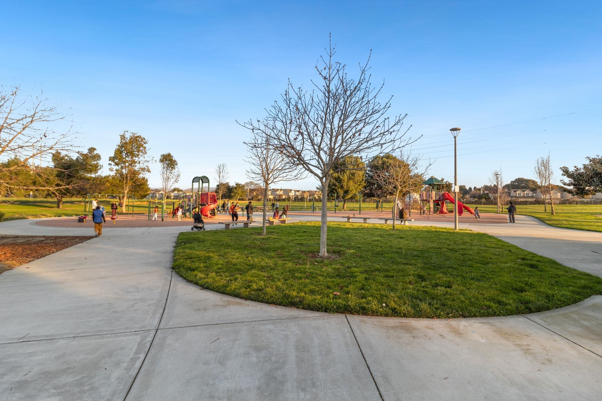 Photo #49: 41121112 Listing: Photo #49