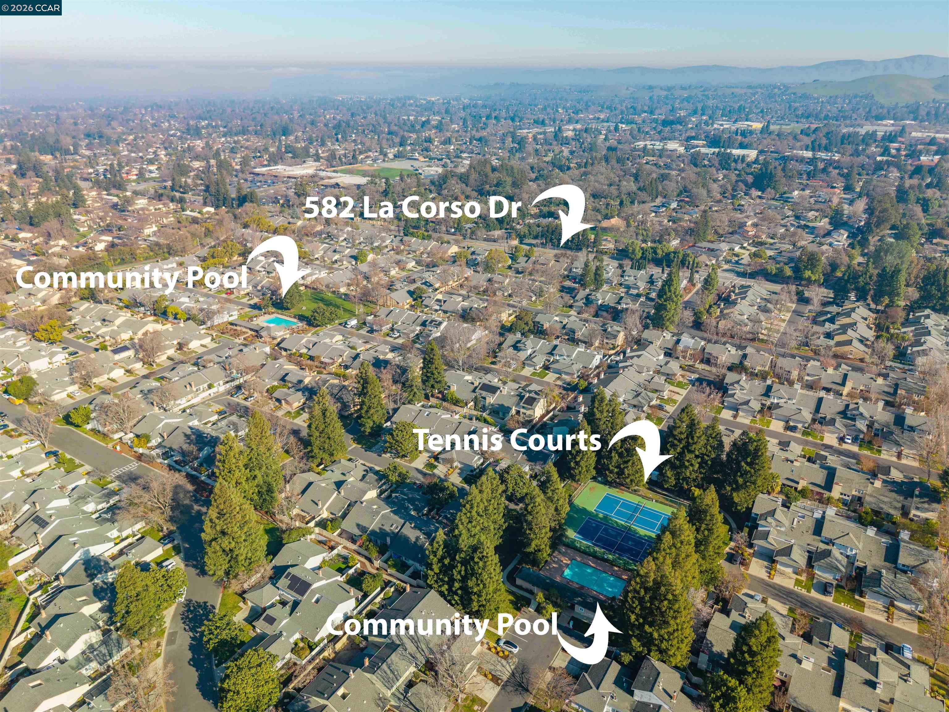 Photo #55: 41121175 Listing: Photo #55