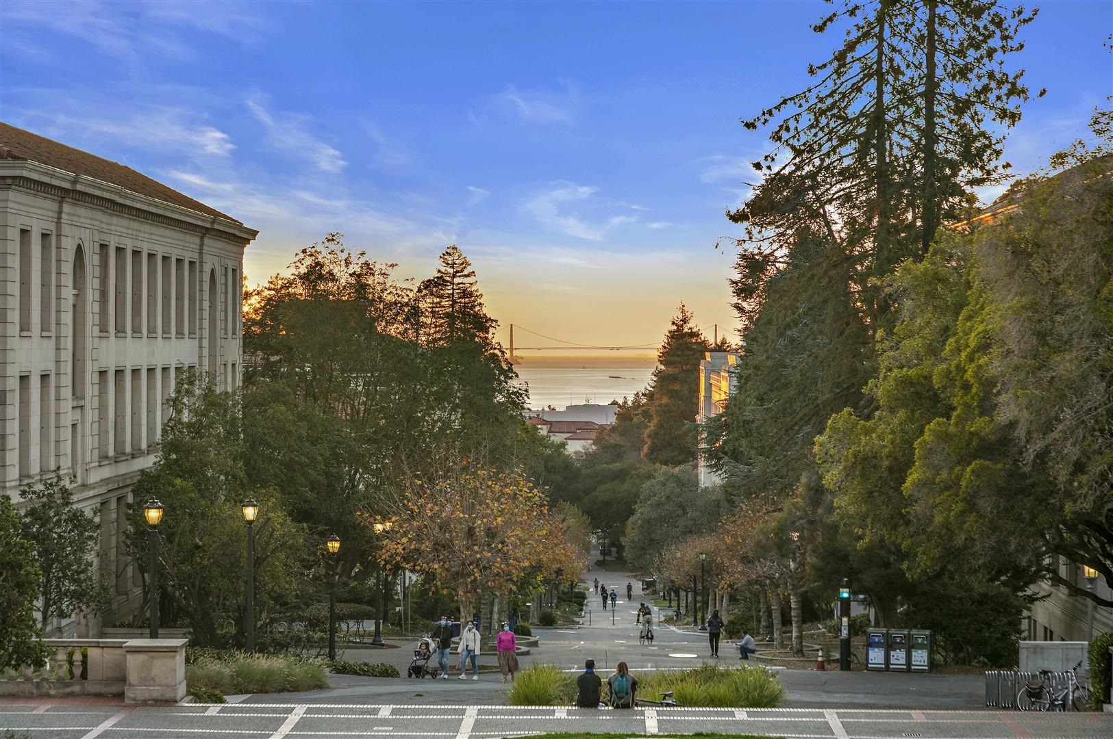 Photo #25: 41121181 Listing: Photo #25