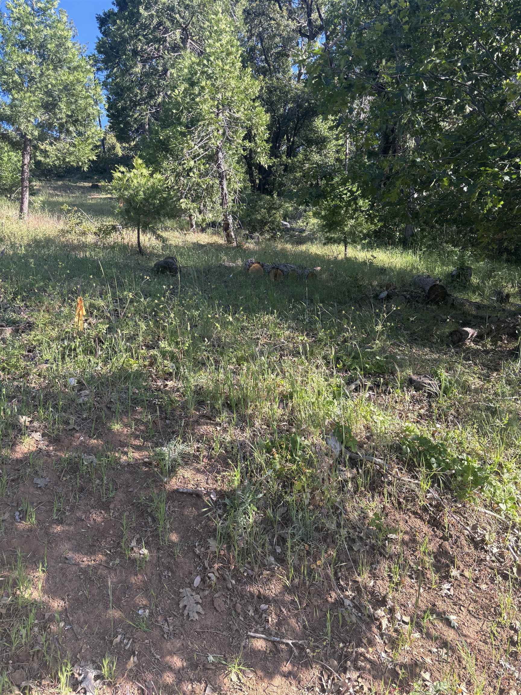 00000 Eastview Dr, Tuolumne, CA, 95379