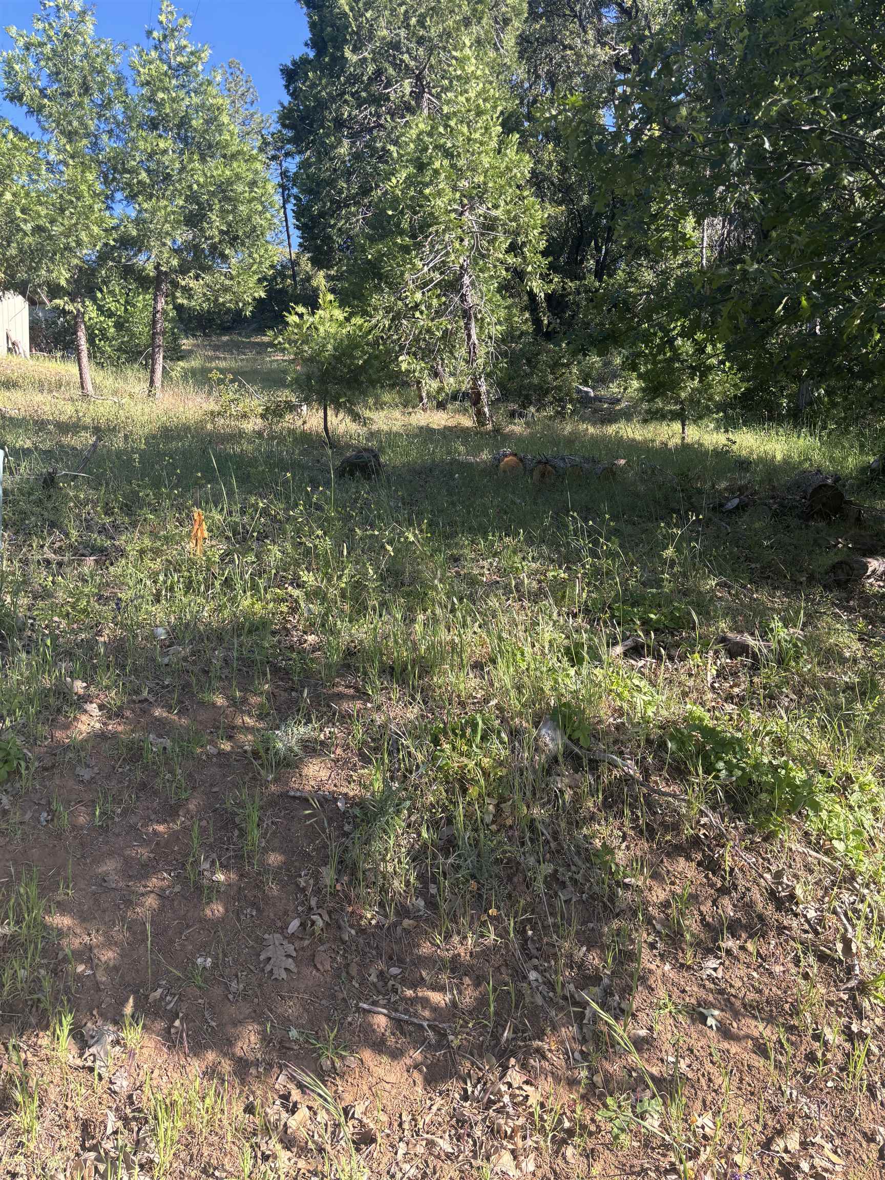 00000 Eastview Dr, Tuolumne, CA, 95379