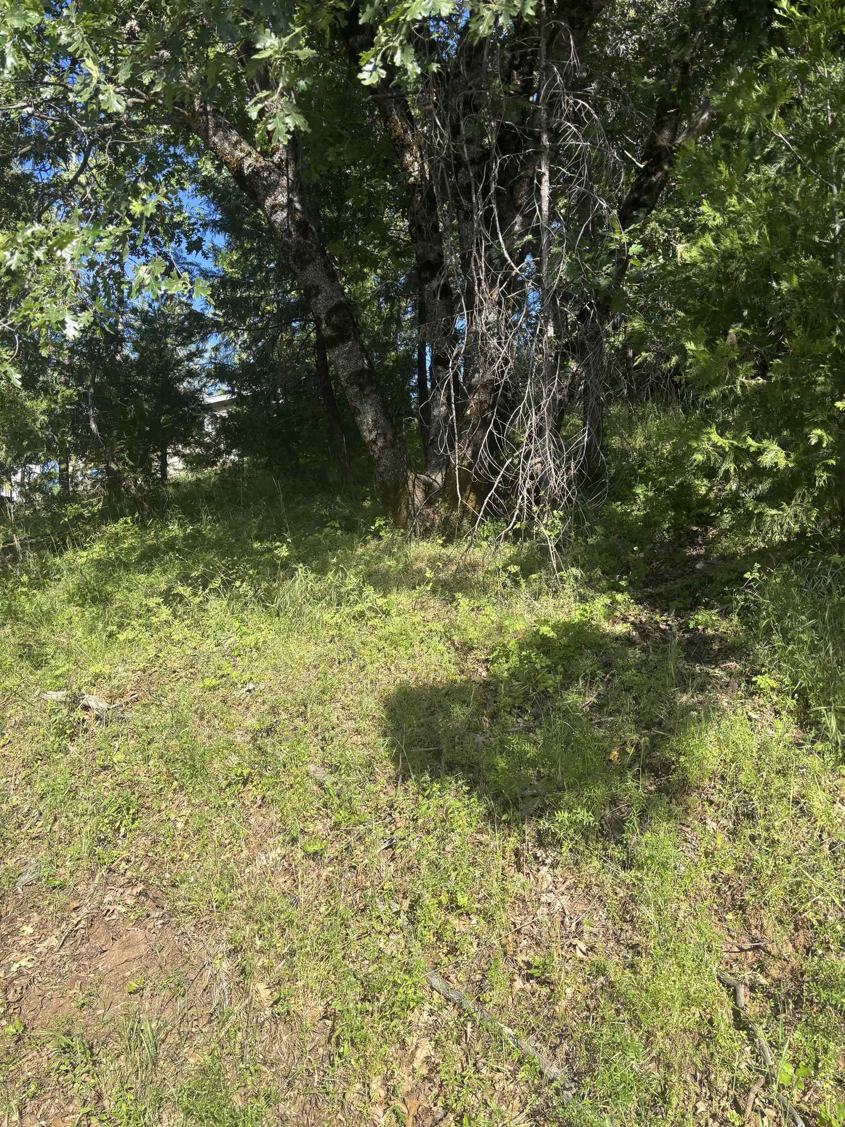 00000 Eastview Dr, Tuolumne, CA, 95379